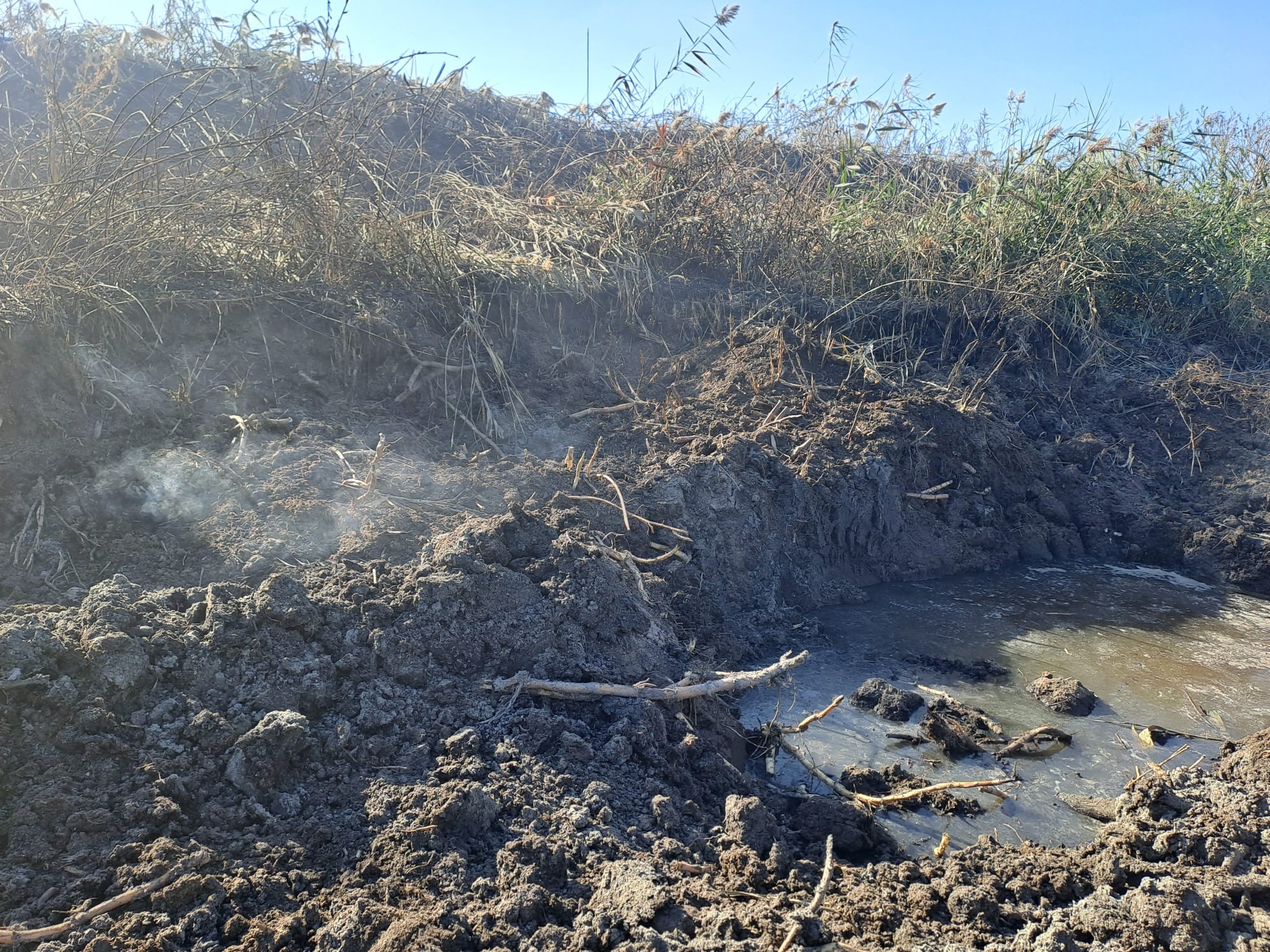 549797005_1234474885363965_4311001873825695955_n