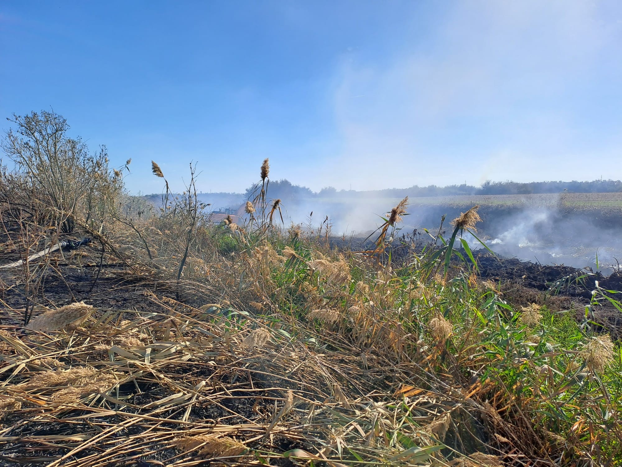 549853322_1234474392030681_1176426686162850714_n