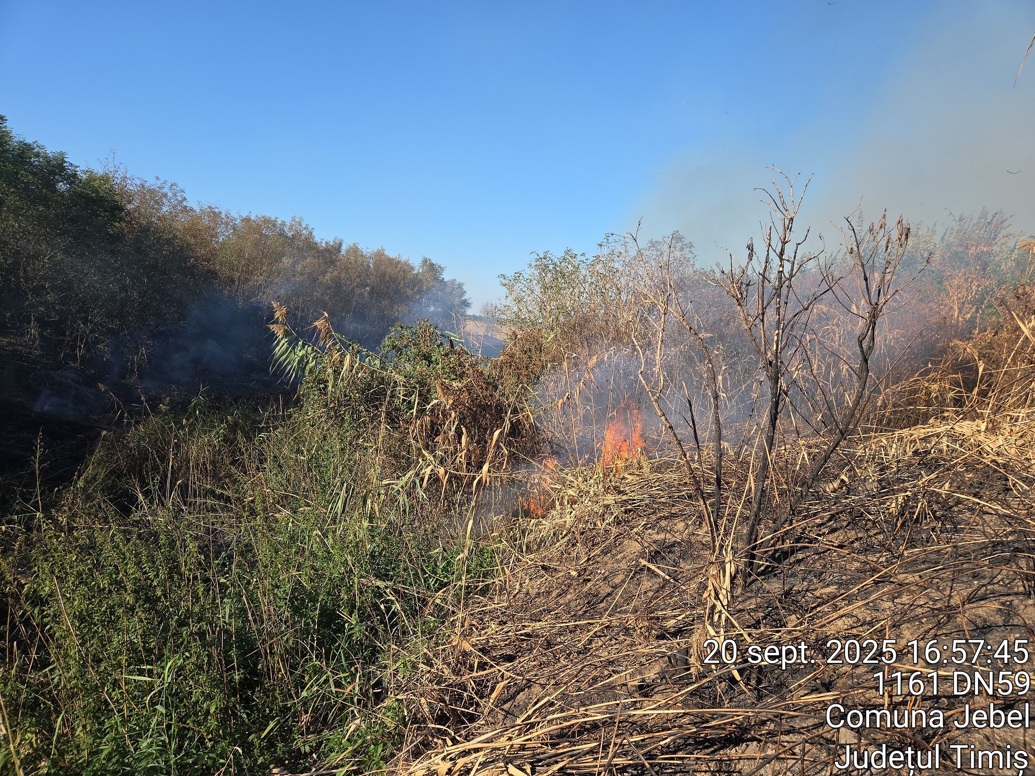 550029924_1234475018697285_8105767403534370300_n