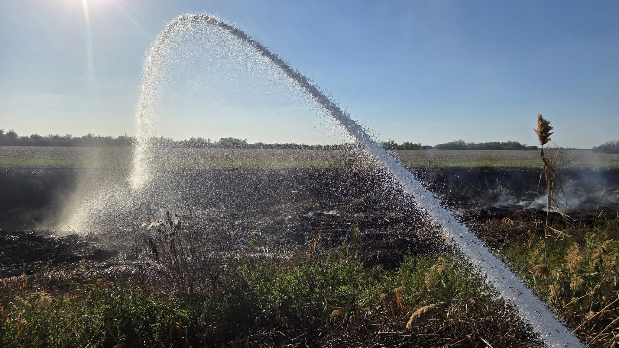 550075681_1234476092030511_3766943404547250988_n