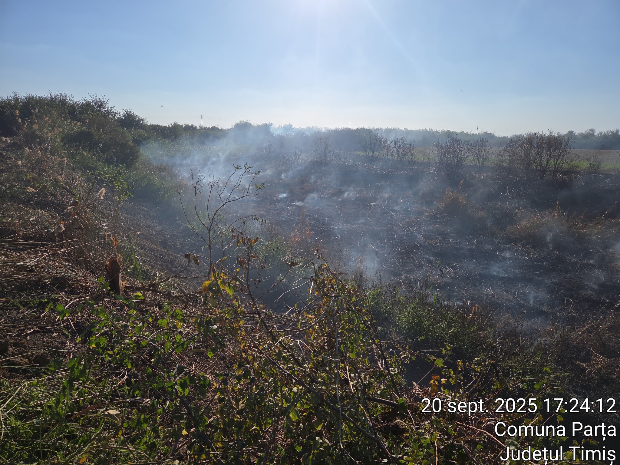 550137568_1234475152030605_7000591301064572865_n