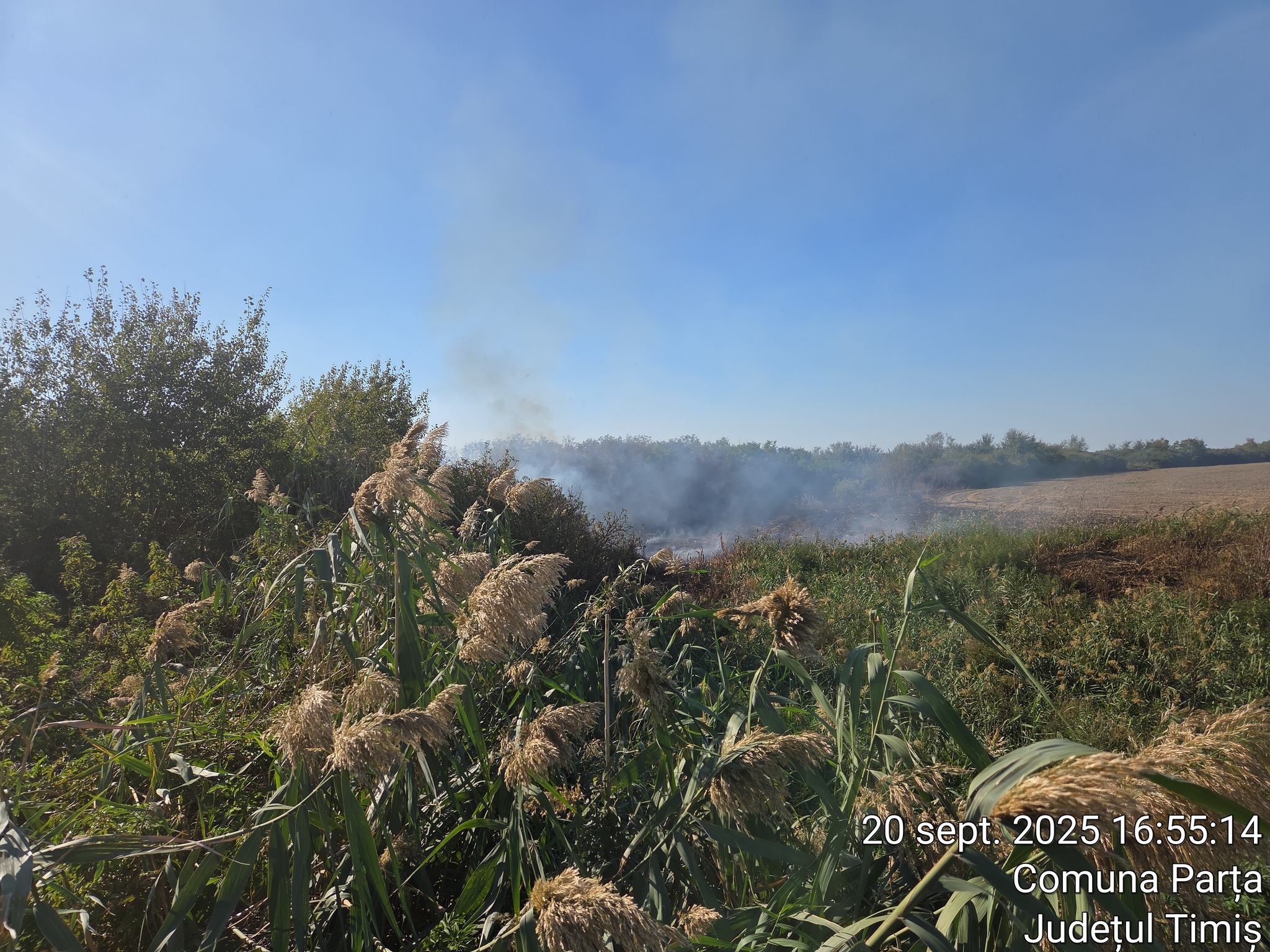 550183368_1234474925363961_6170028422470560020_n