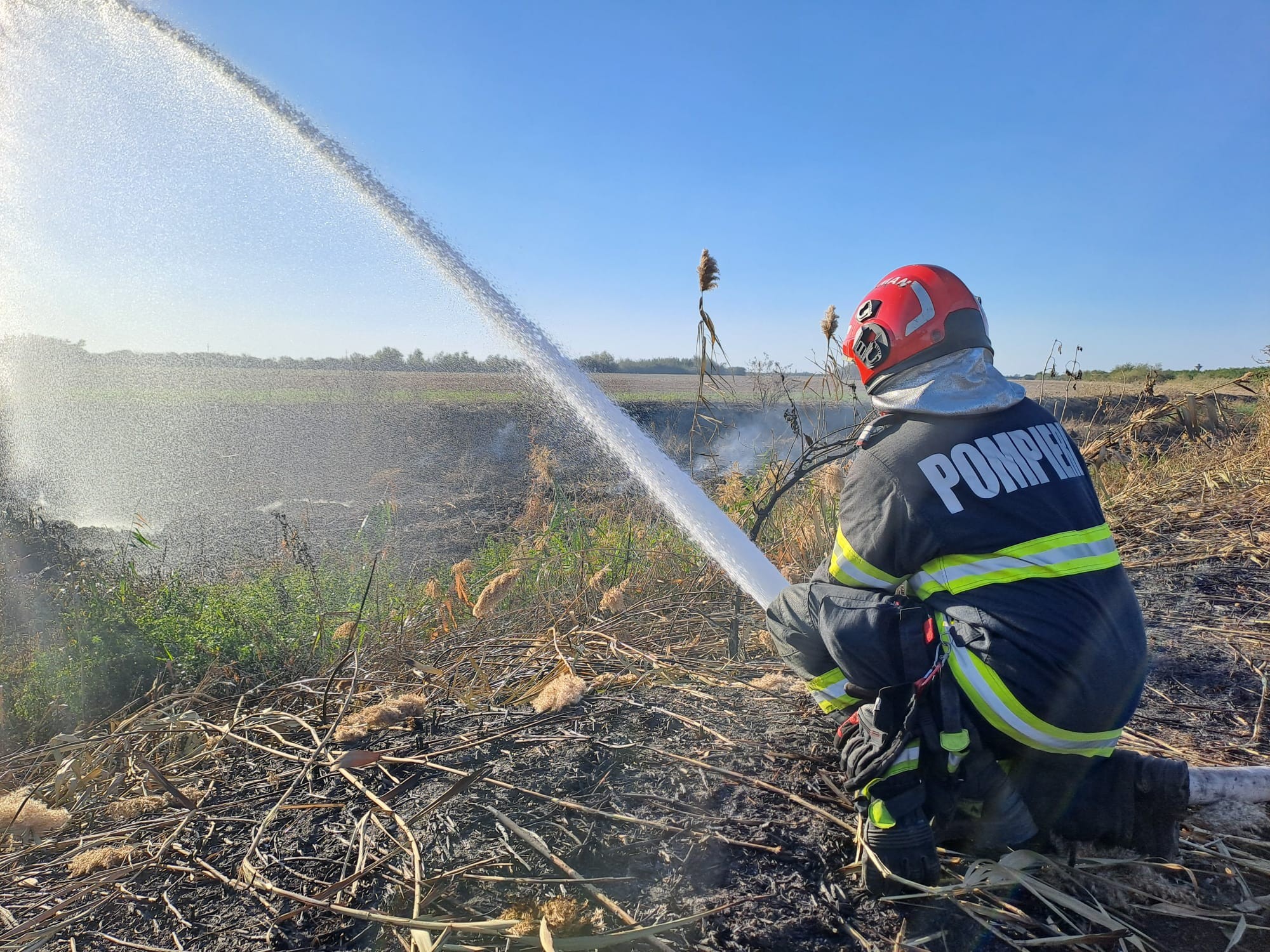 550343738_1234505845360869_6877710708107755804_n