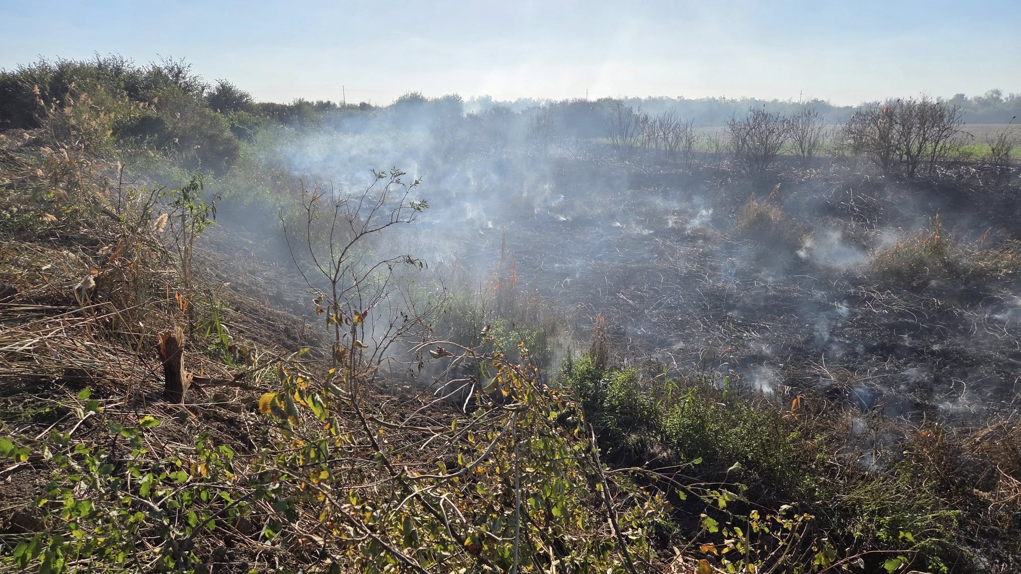 550454995_1234475248697262_8801051225269587032_n