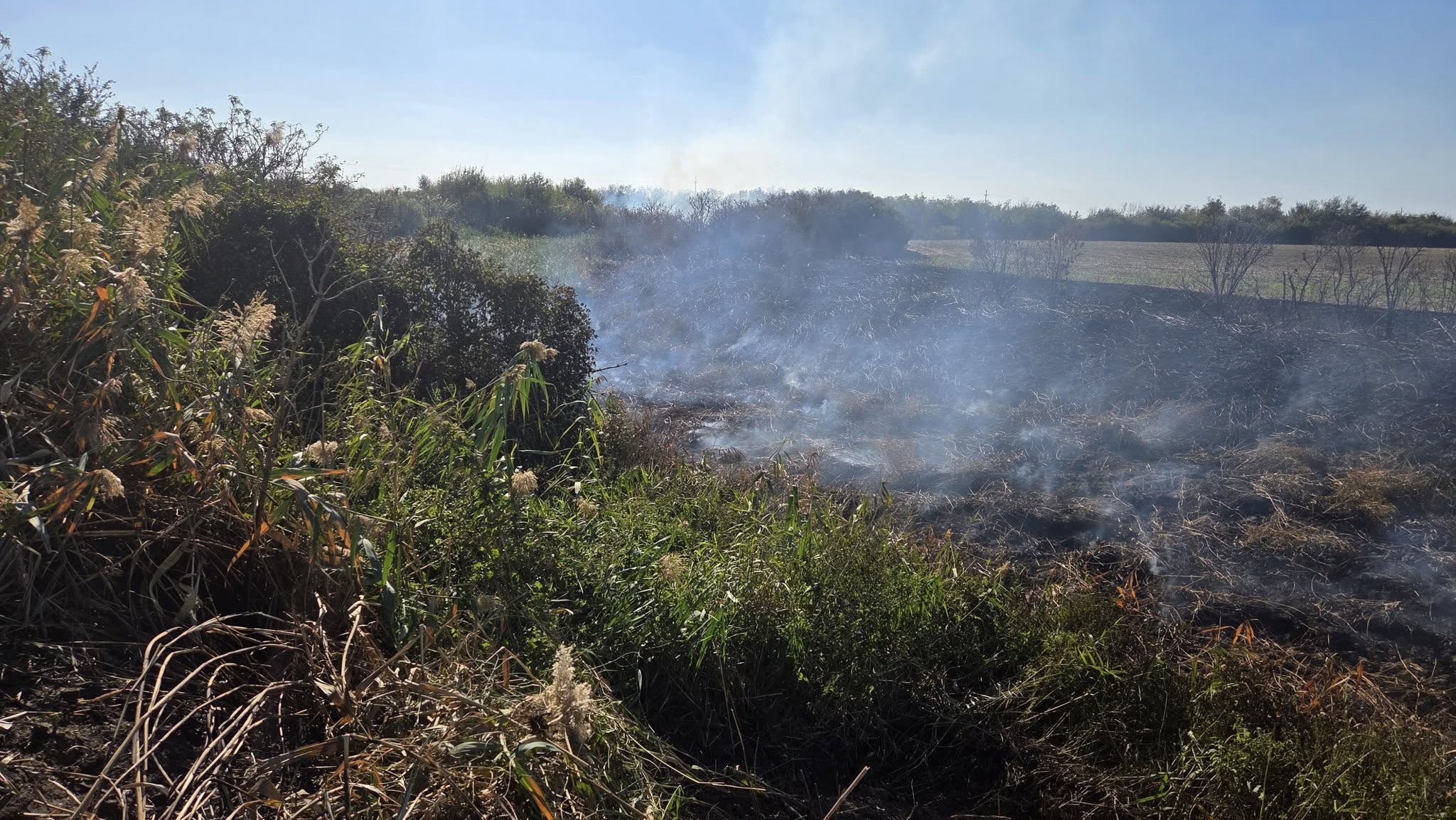 550588794_1234474865363967_4991349307655796631_n