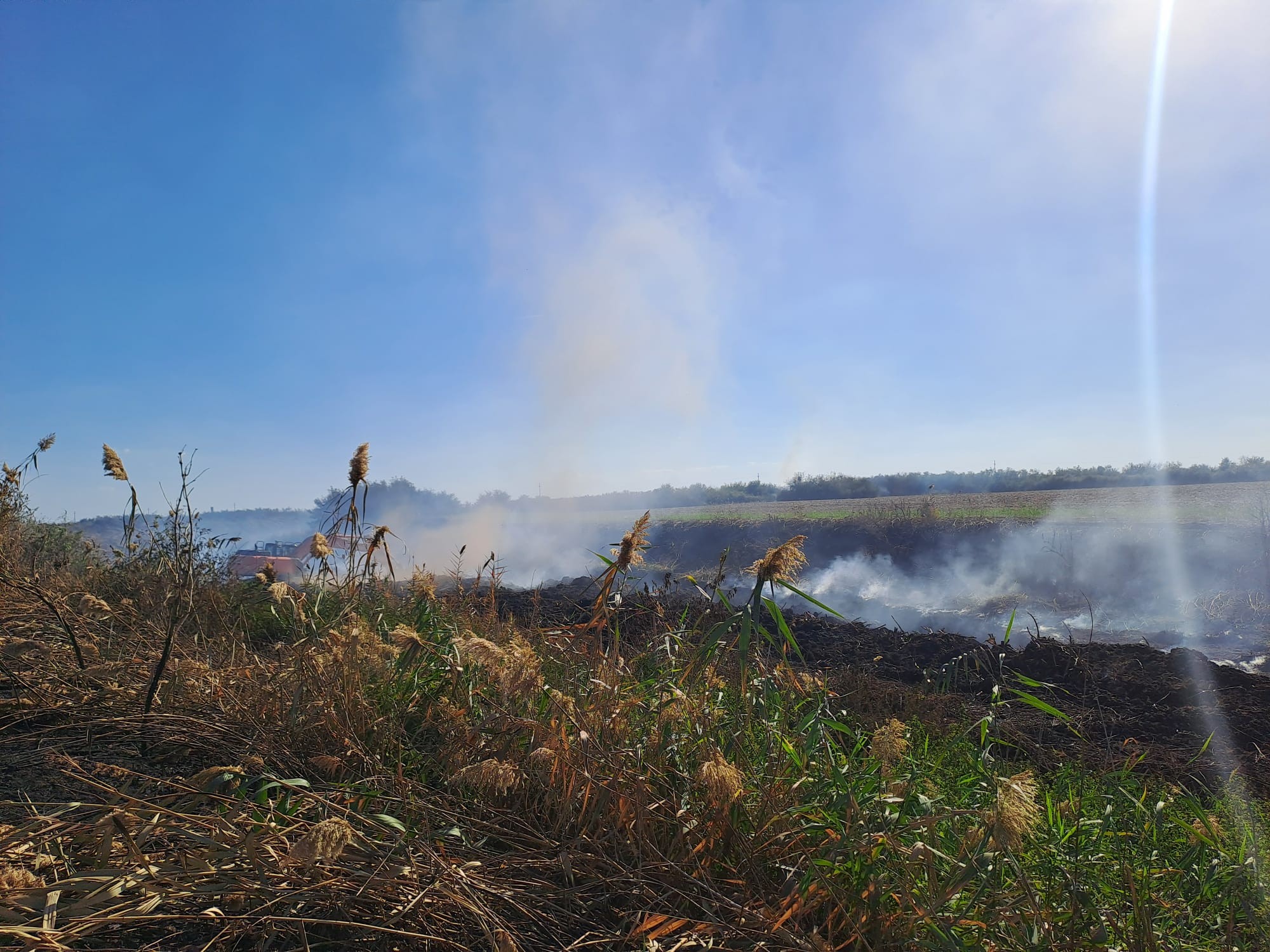 550704260_1234474365364017_5556343956939740271_n