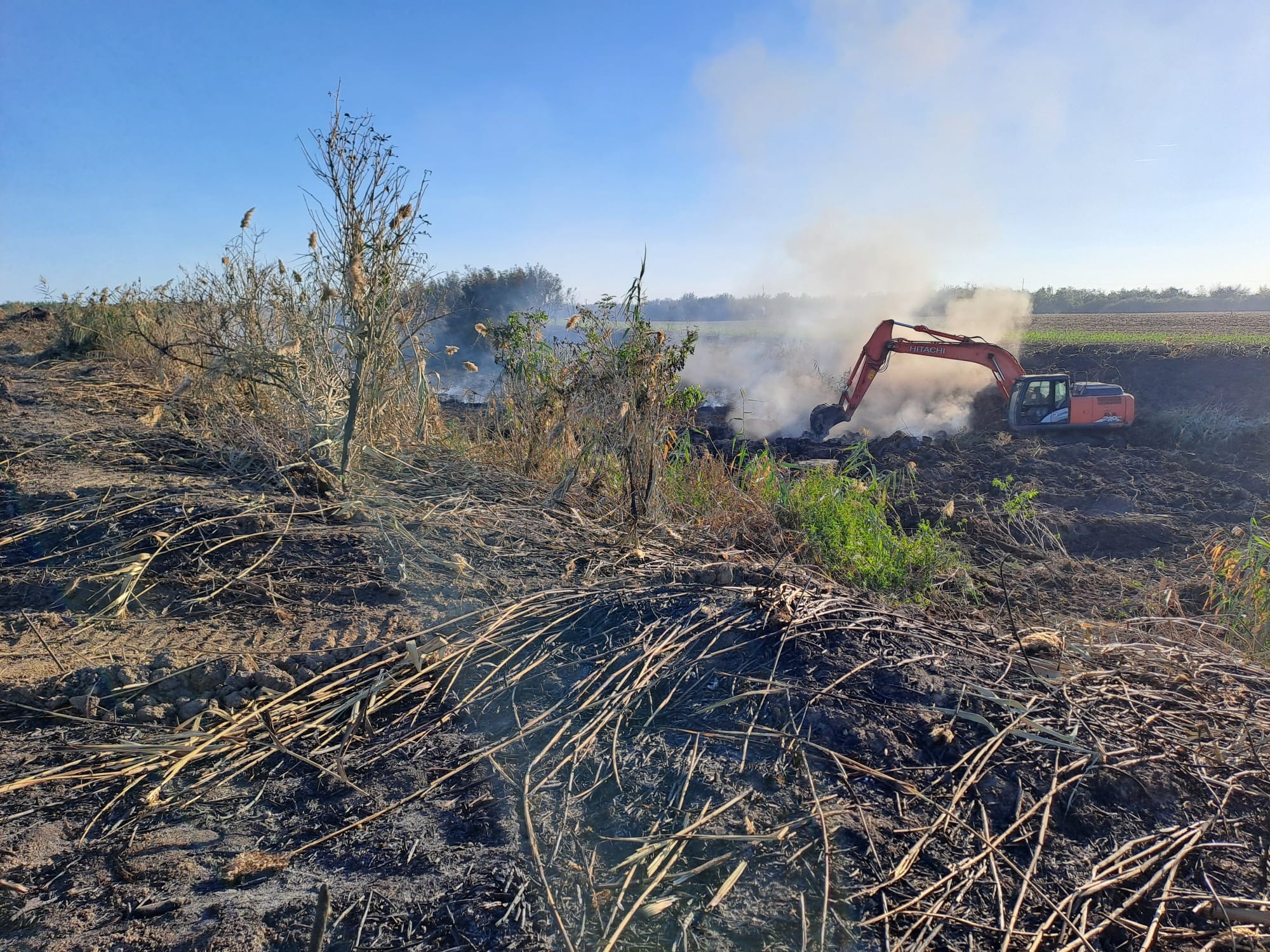 550722337_1234505932027527_8837258723785466328_n