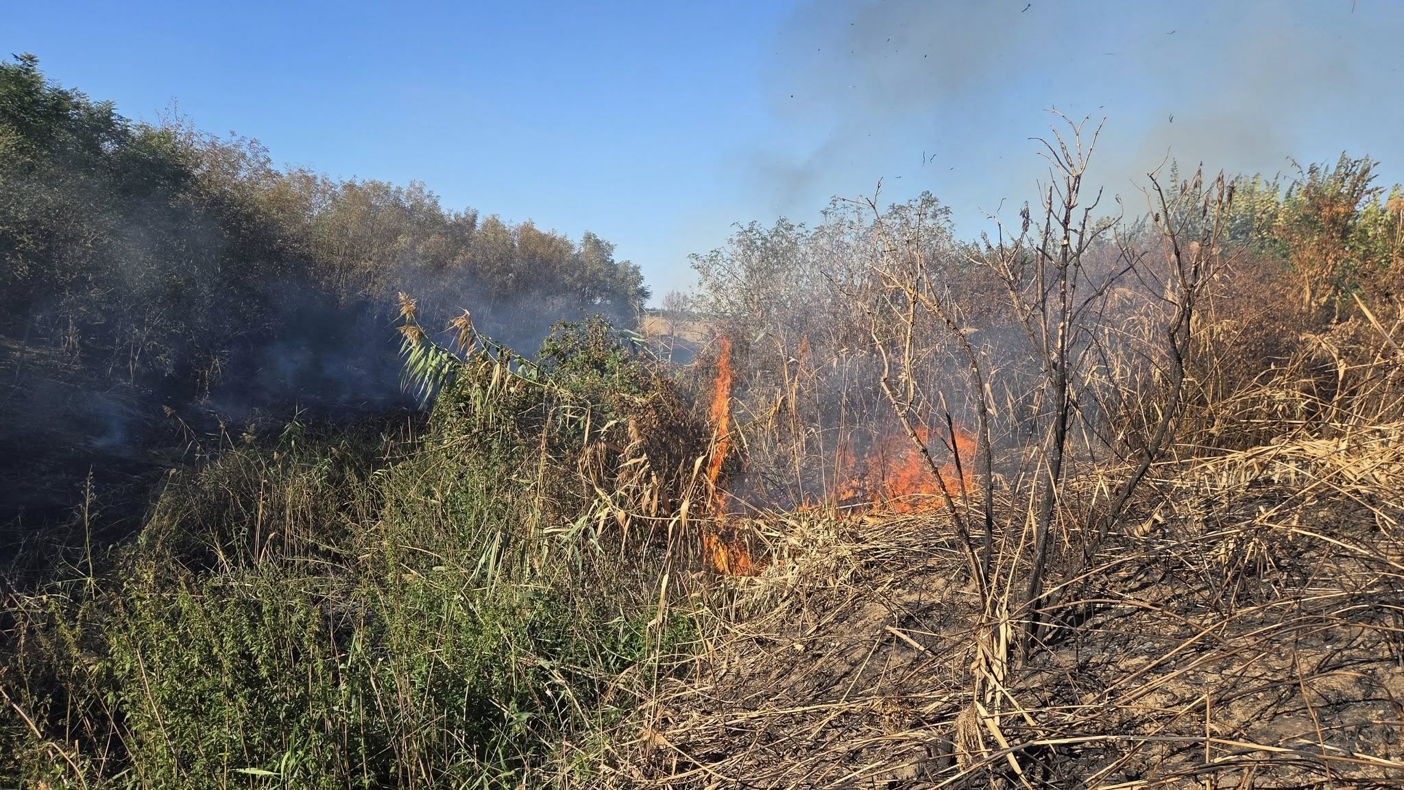 551061050_1234475058697281_6928112821524158568_n