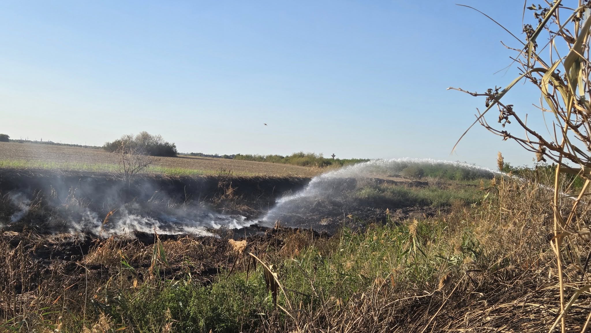 552322630_1234505972027523_3722618960158074799_n