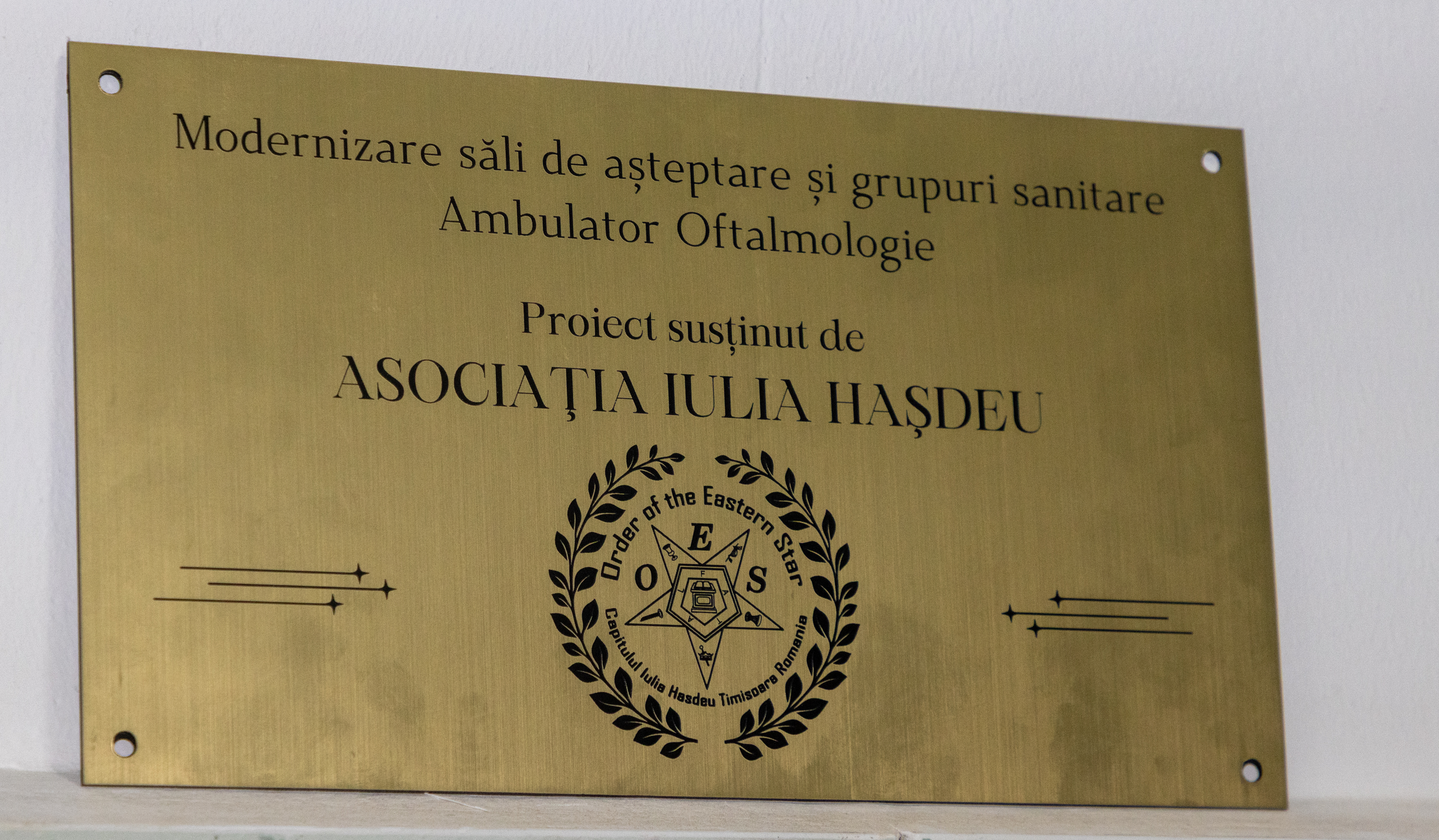 asociatia Iulia Hasdeu (8)