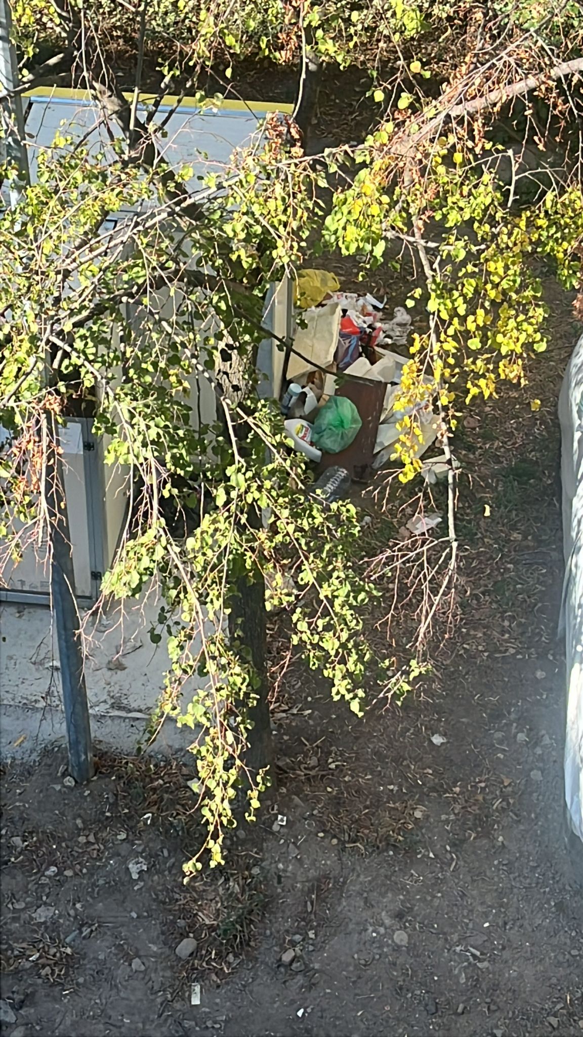 insula ecologică Ronaț