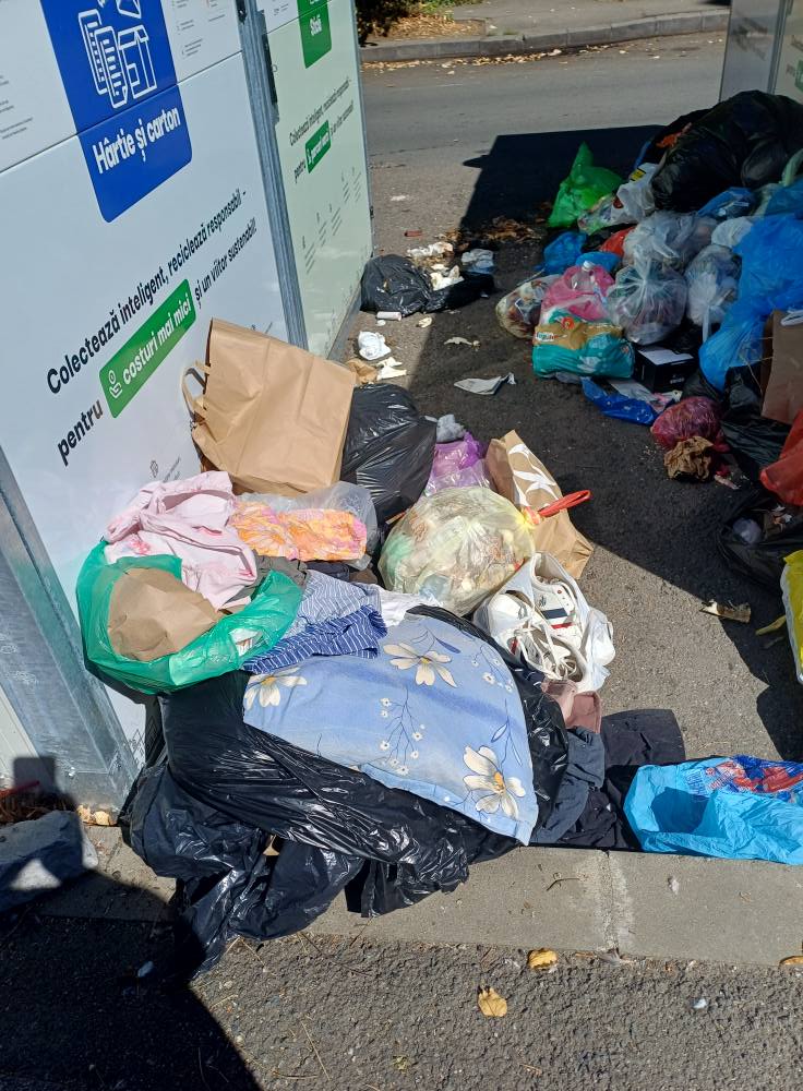 insulă ecologică dacia (2)