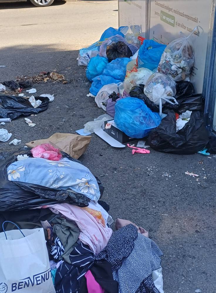 insulă ecologică dacia (3)