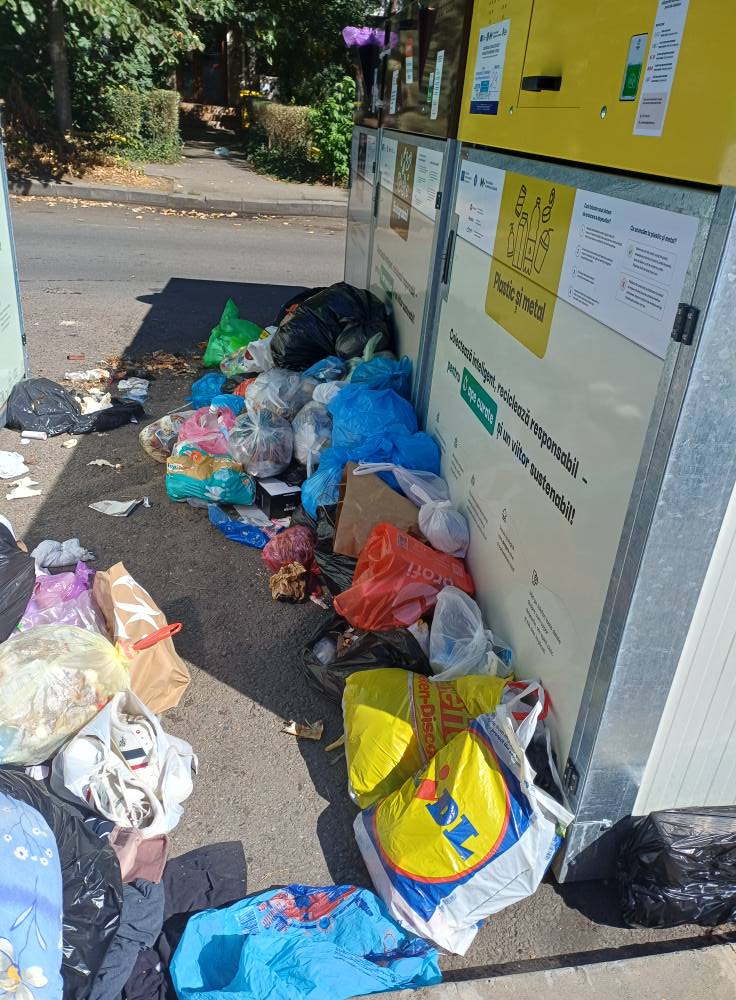 insulă ecologică dacia (4)