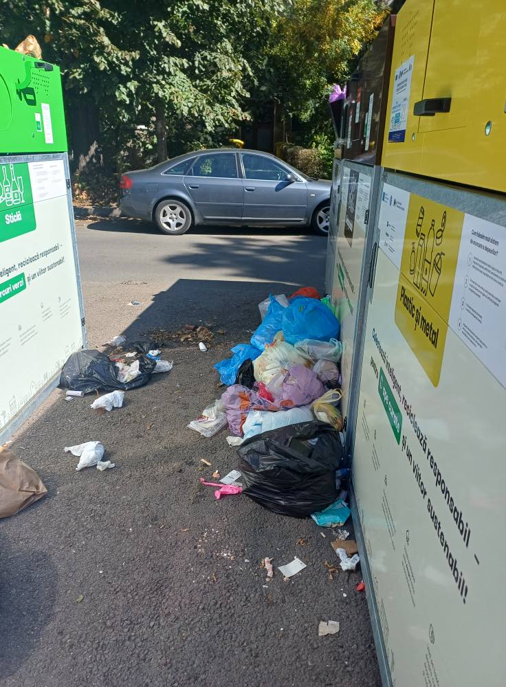 insulă ecologică dacia (5)