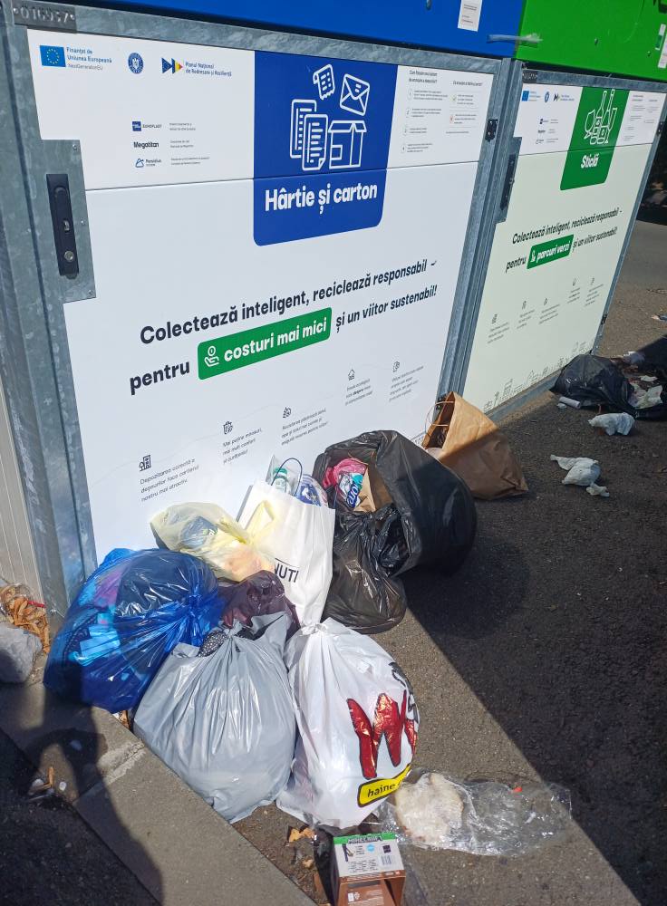 insulă ecologică dacia (6)