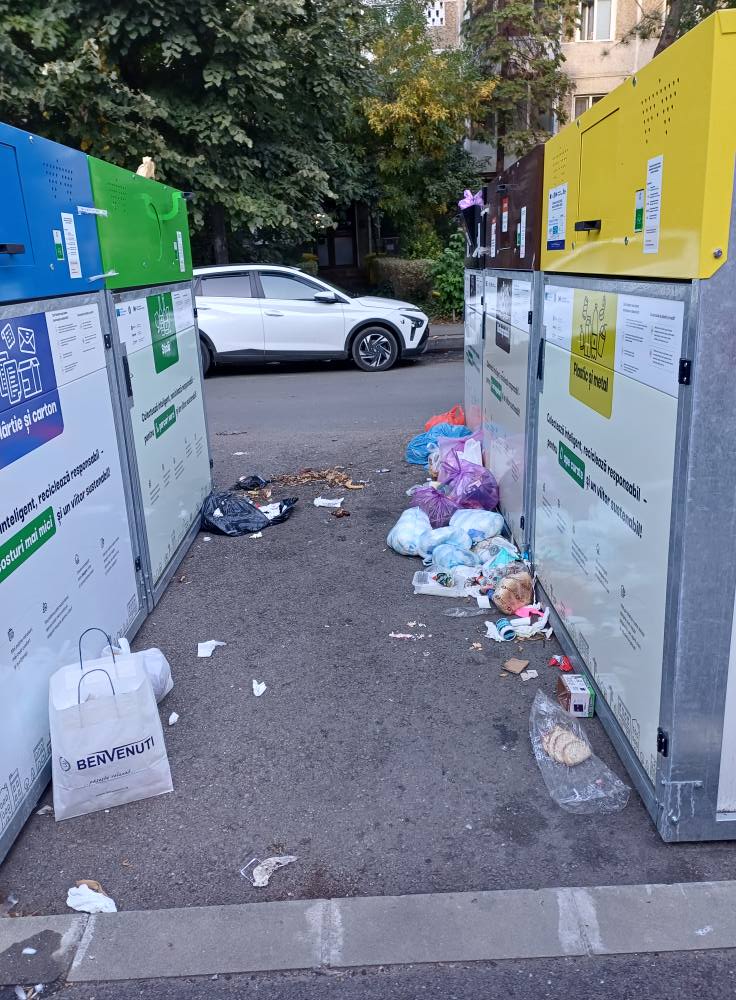 insulă ecologică dacia (1)