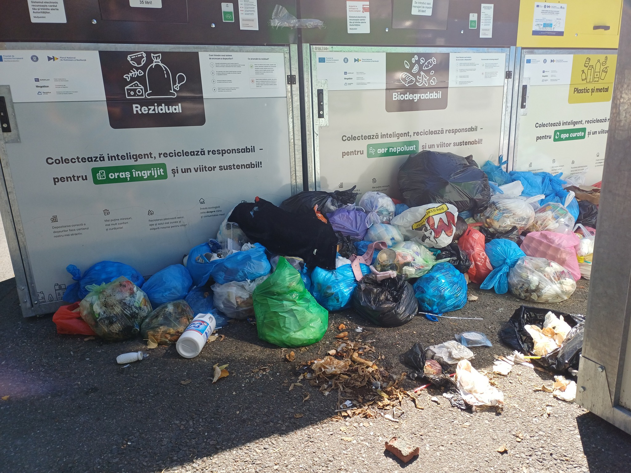 insulă ecologică dacia (7)