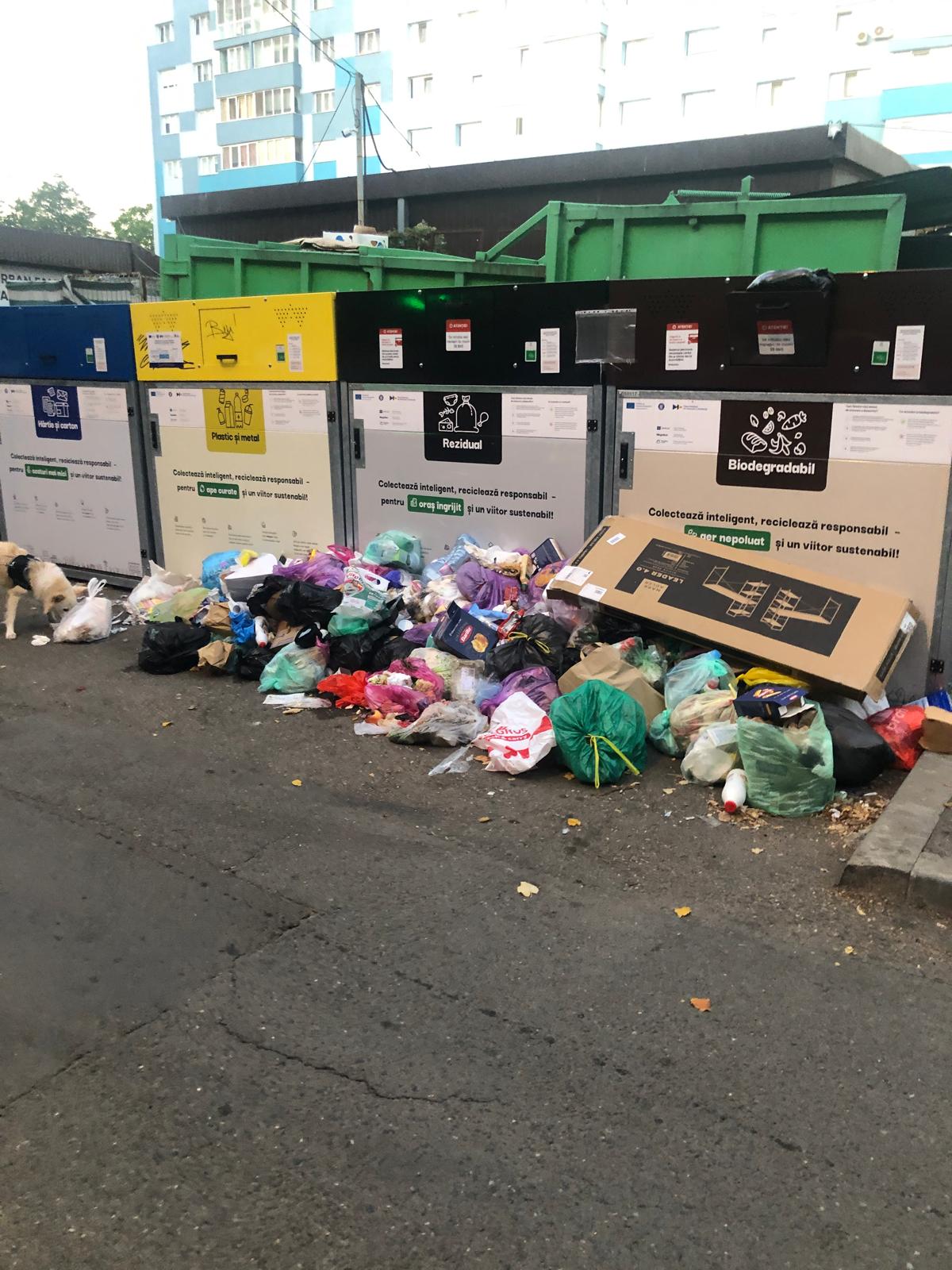 insula ecologică Dacia