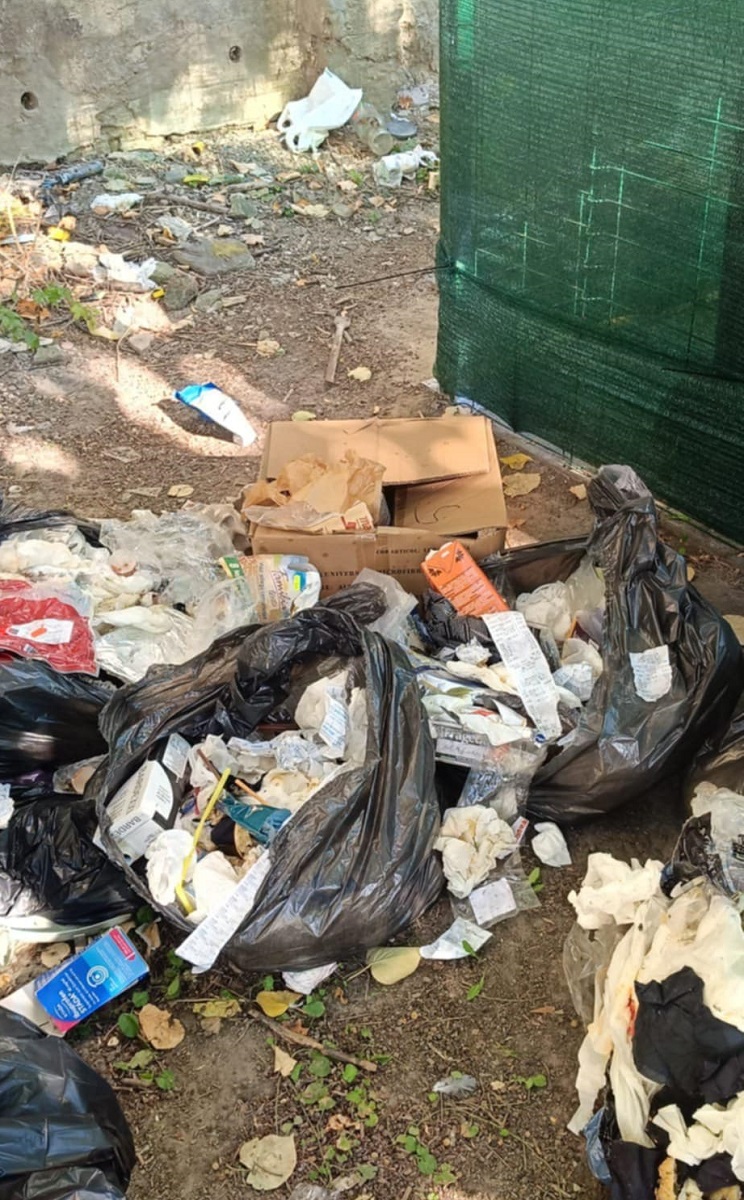 deseuri Timisoara (2)