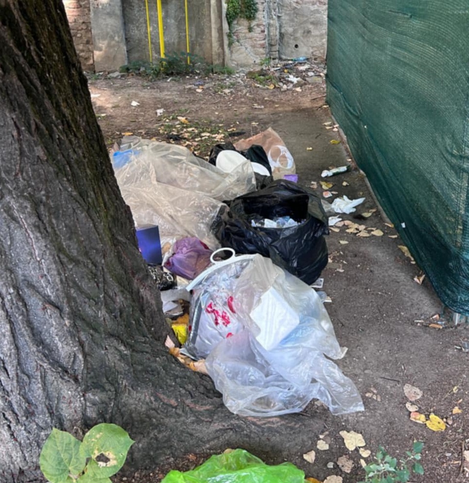 deseuri Timisoara (3)