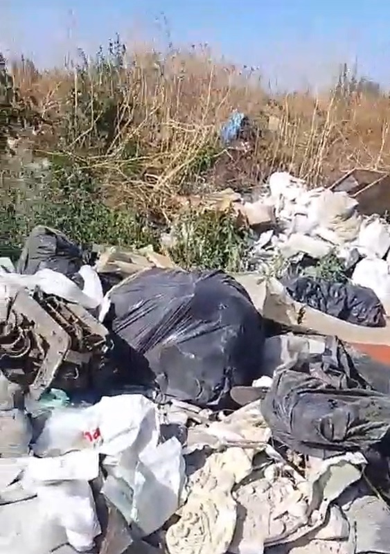 deseuri Timisoara (6)