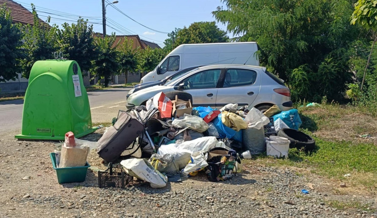 deseuri Timisoara (1)