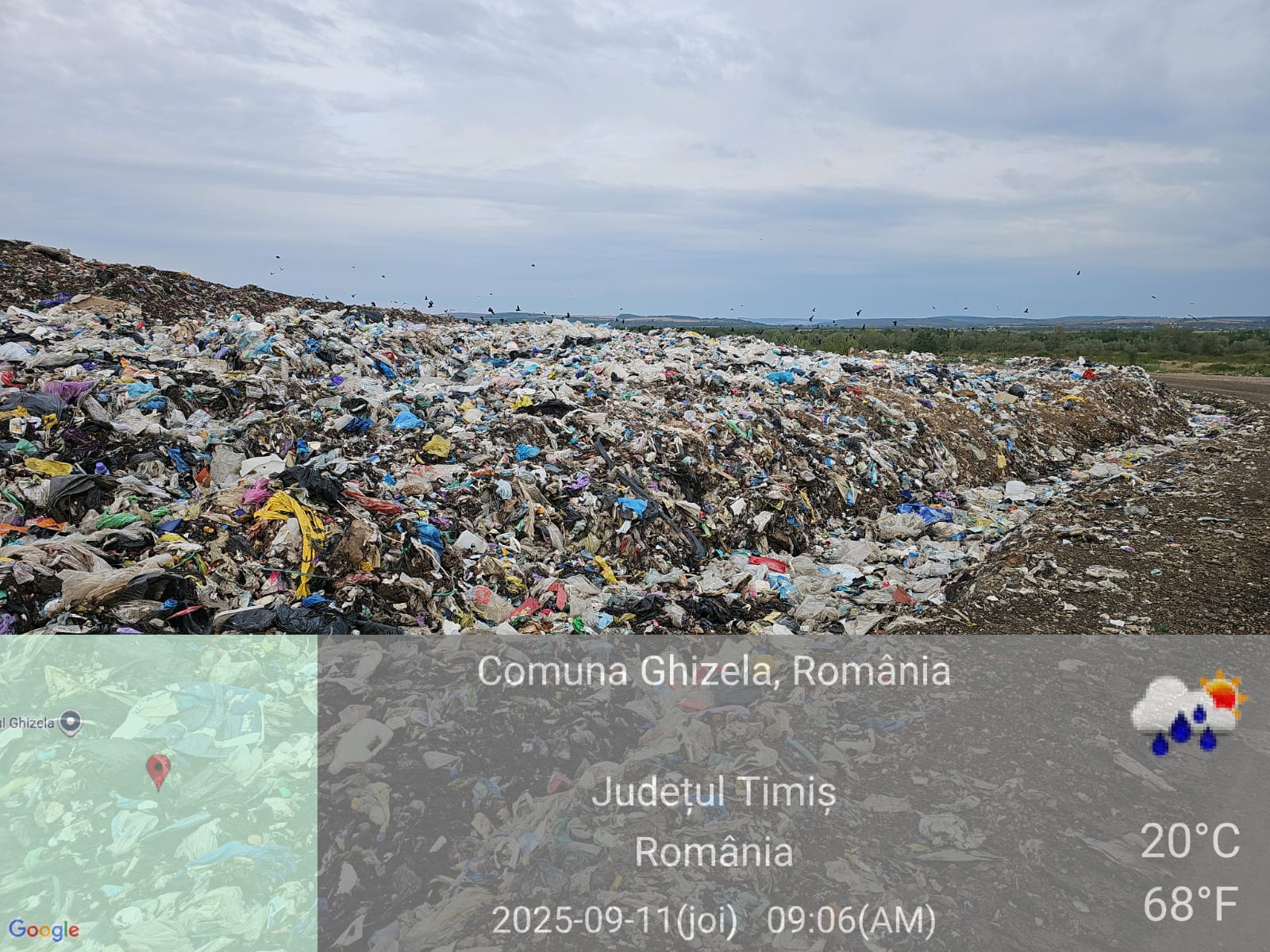 imagini DDN Ghizela (39)