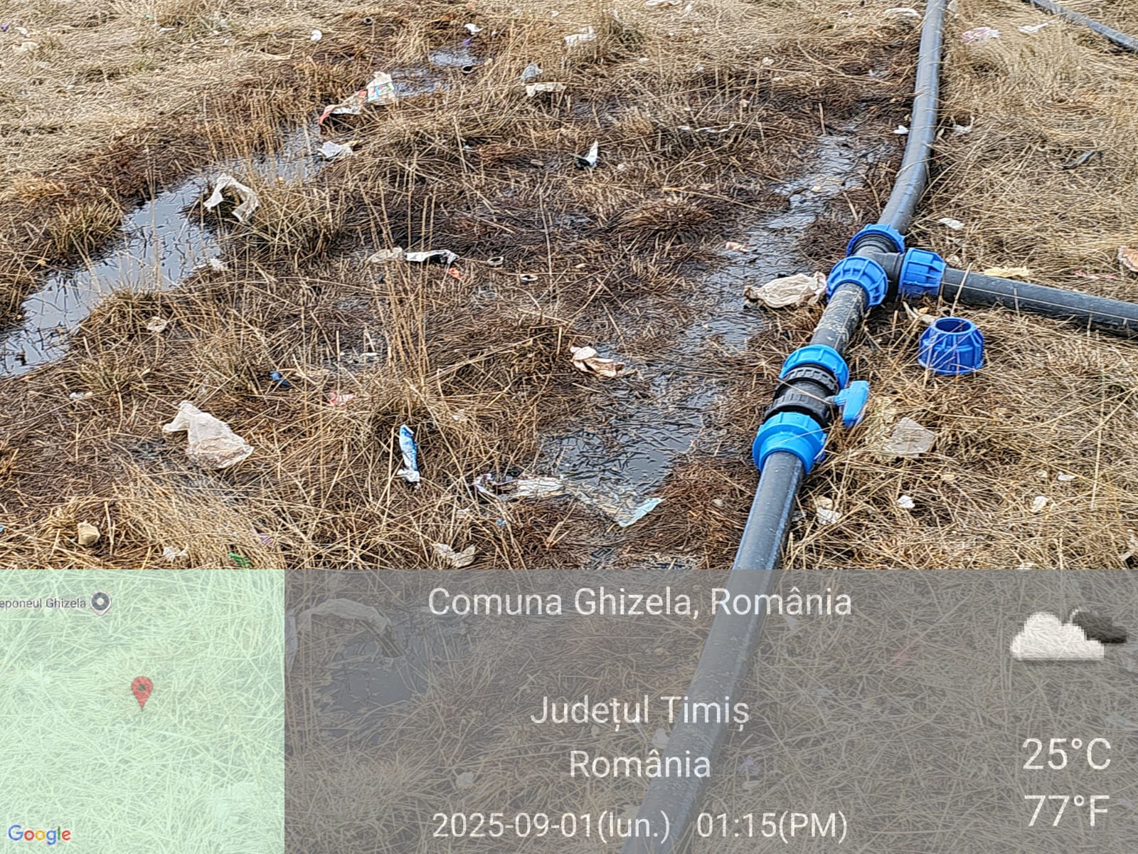 imagini DDN Ghizela (28)