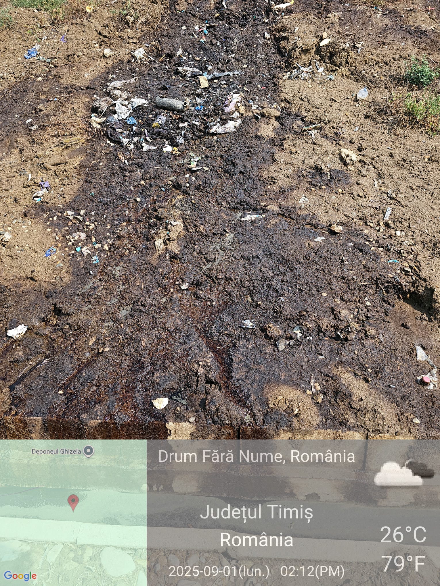 imagini DDN Ghizela (24)