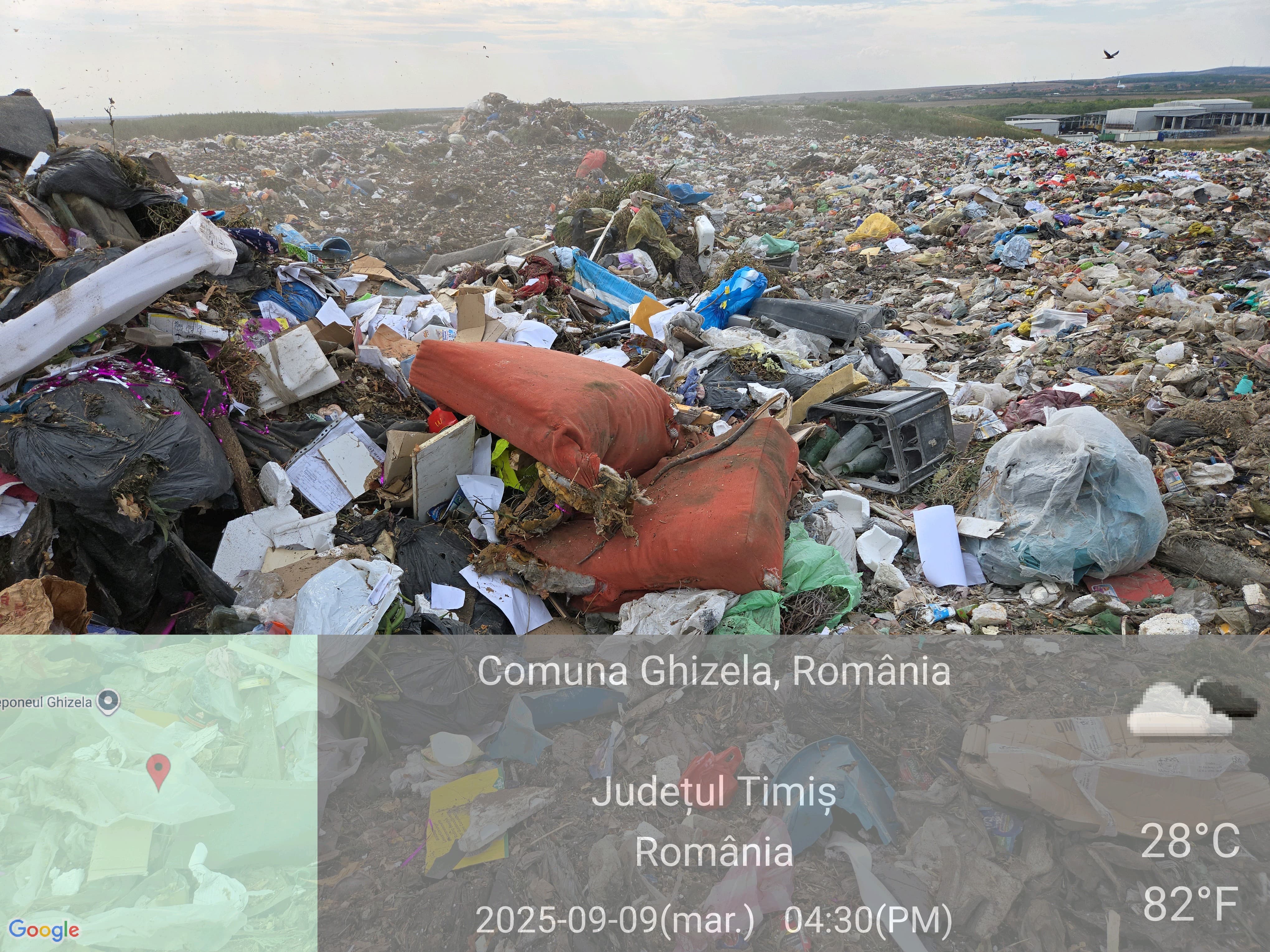 imagini DDN Ghizela (21)