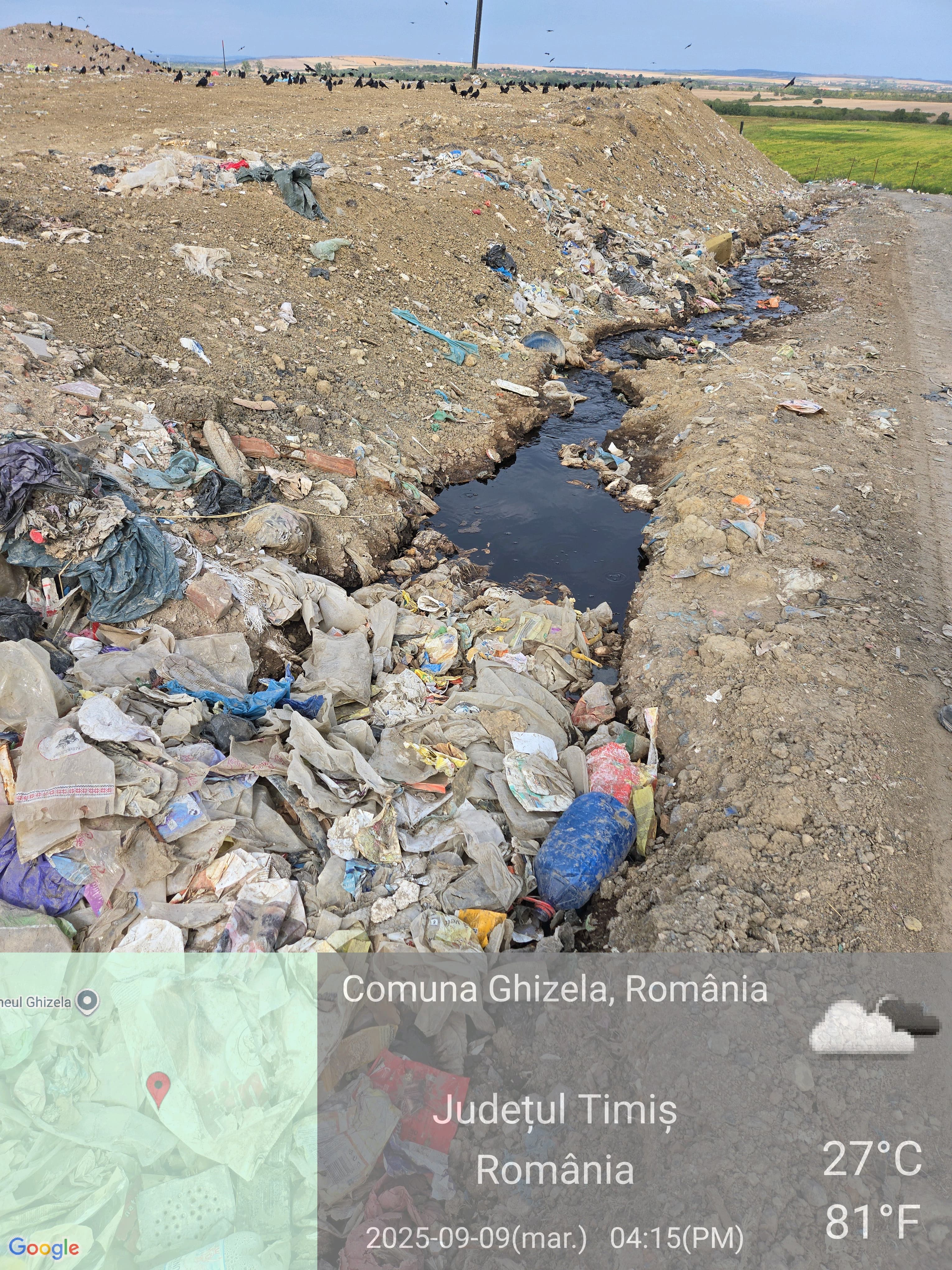 imagini DDN Ghizela (20)