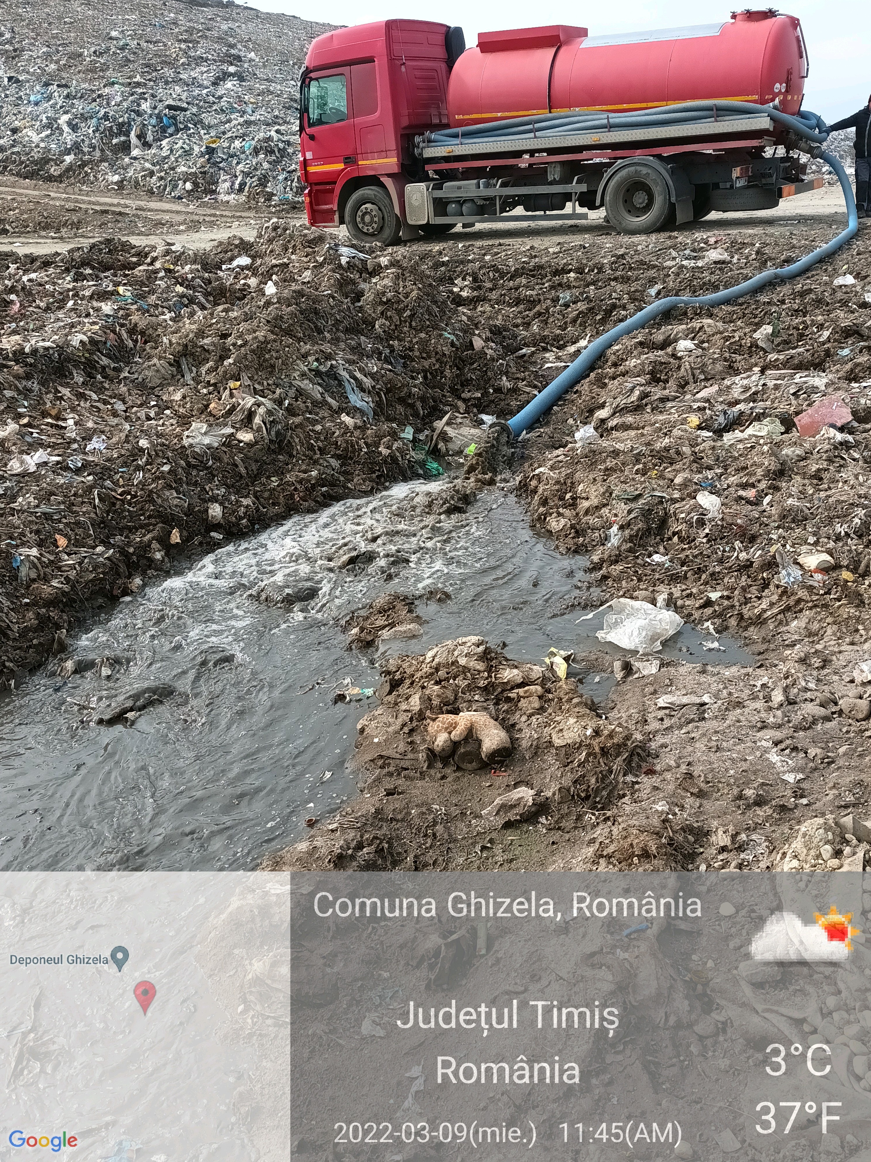 imagini DDN Ghizela (11)