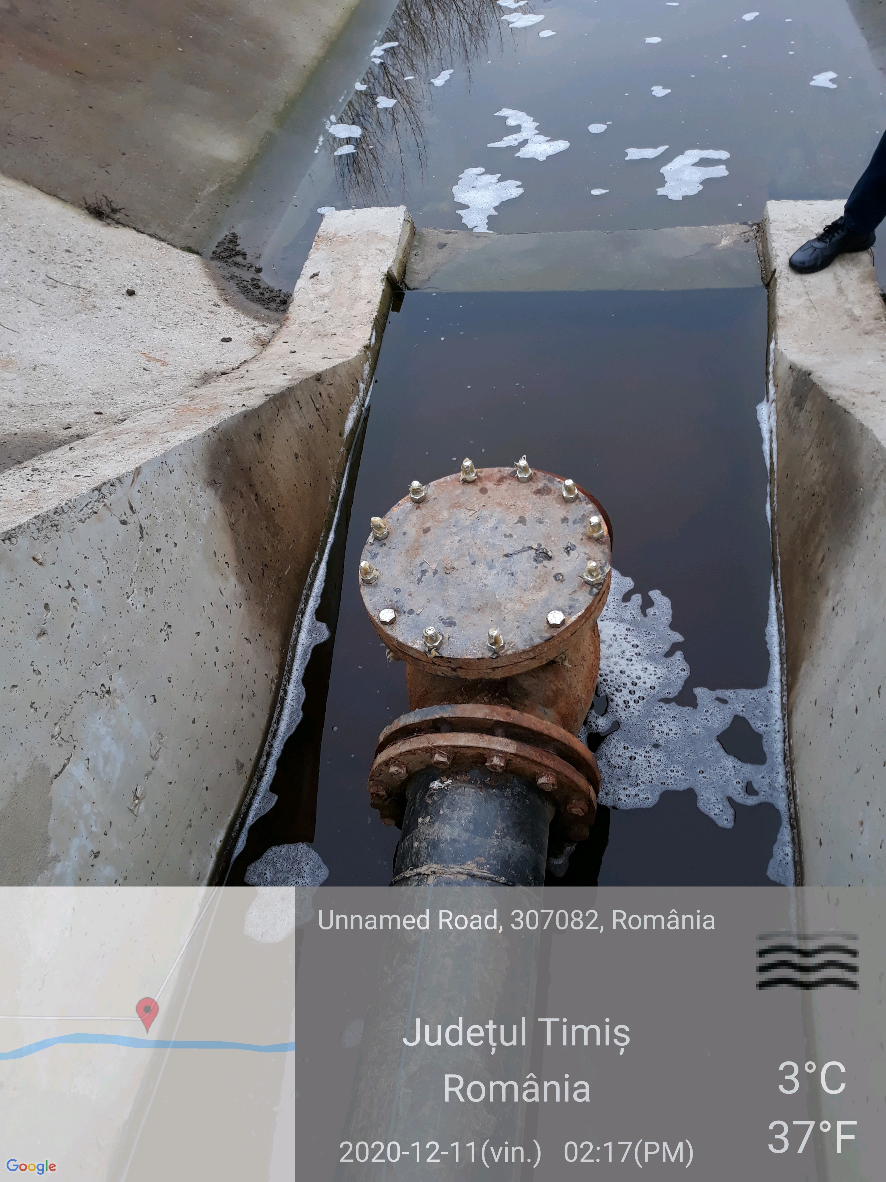 imagini DDN Ghizela (3)