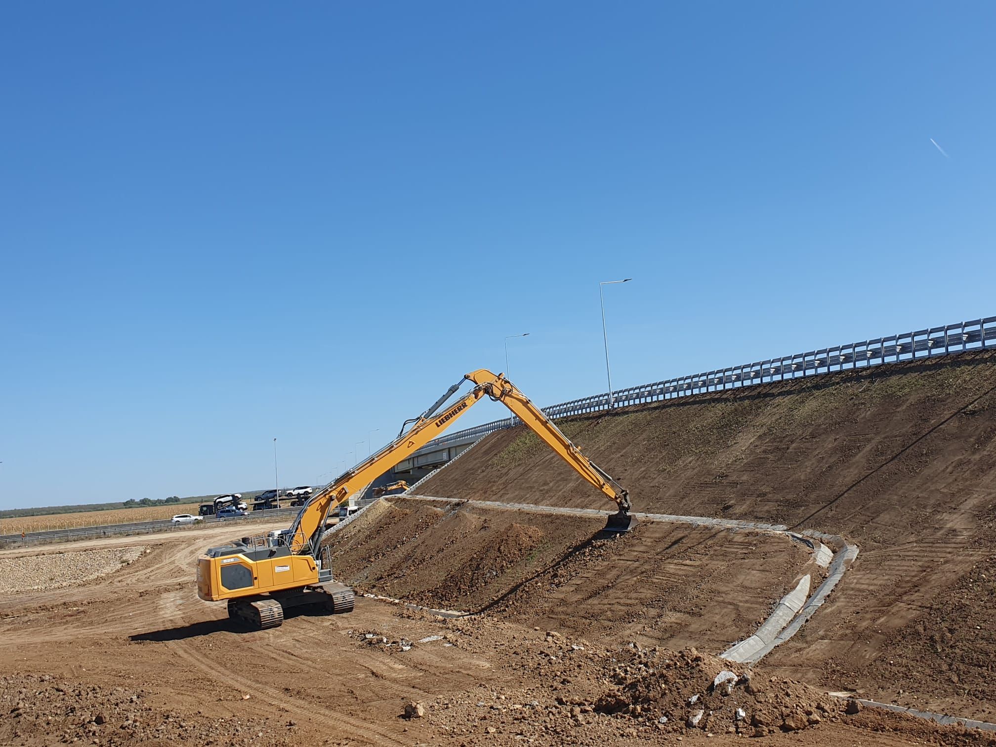 descărcare sânandrei (6)