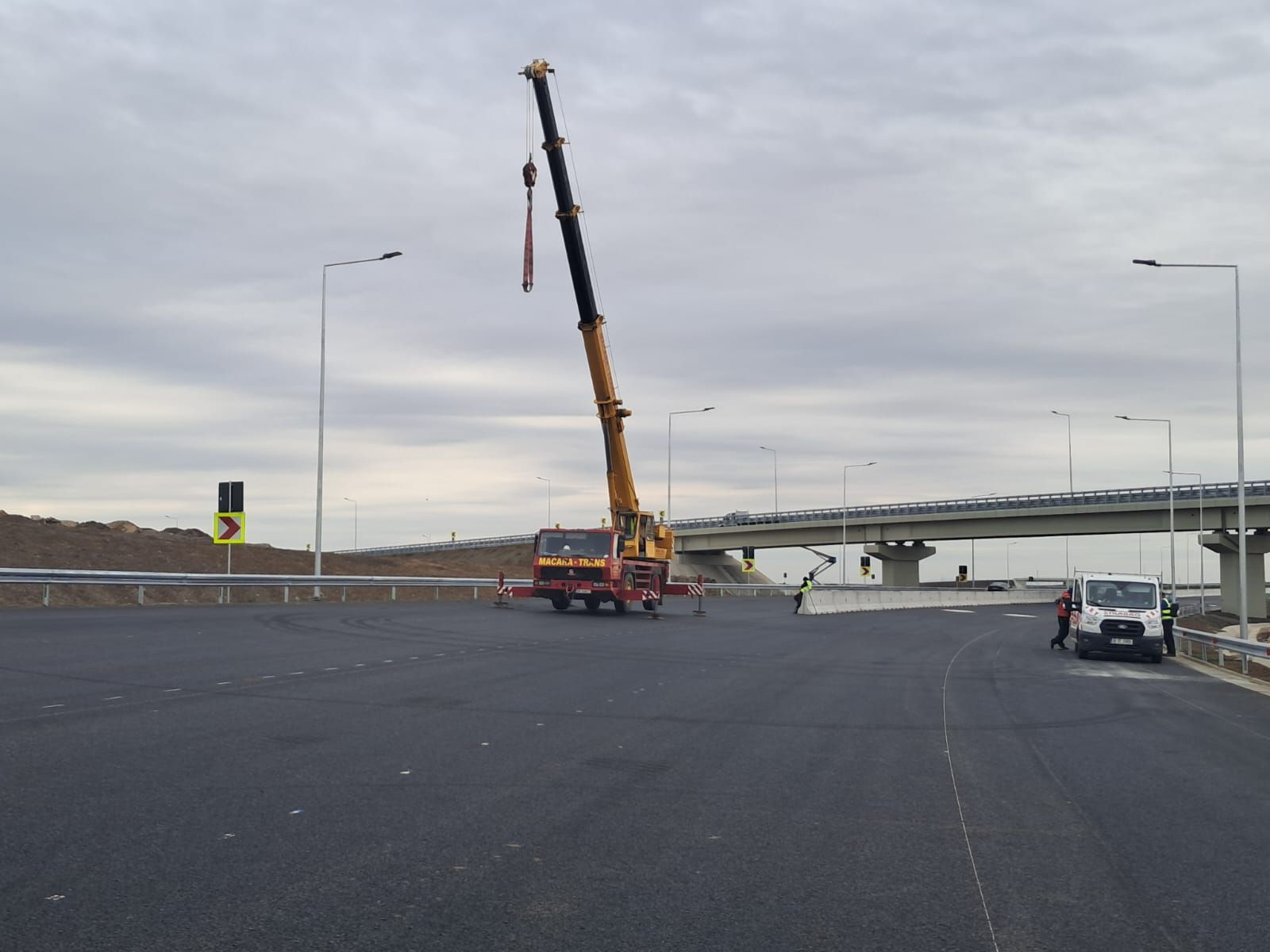 descărcare sânandrei (7)