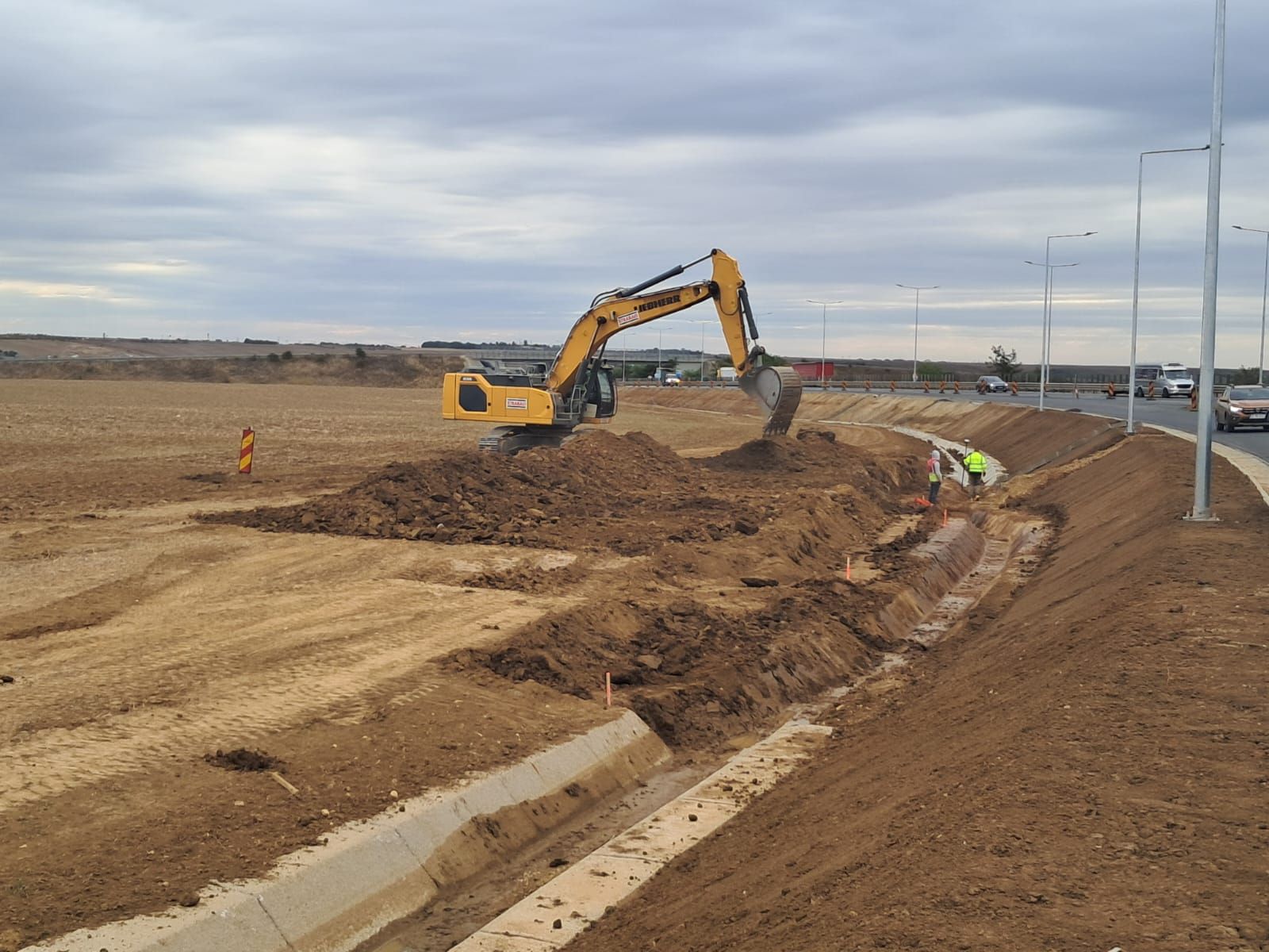 descărcare sânandrei (8)