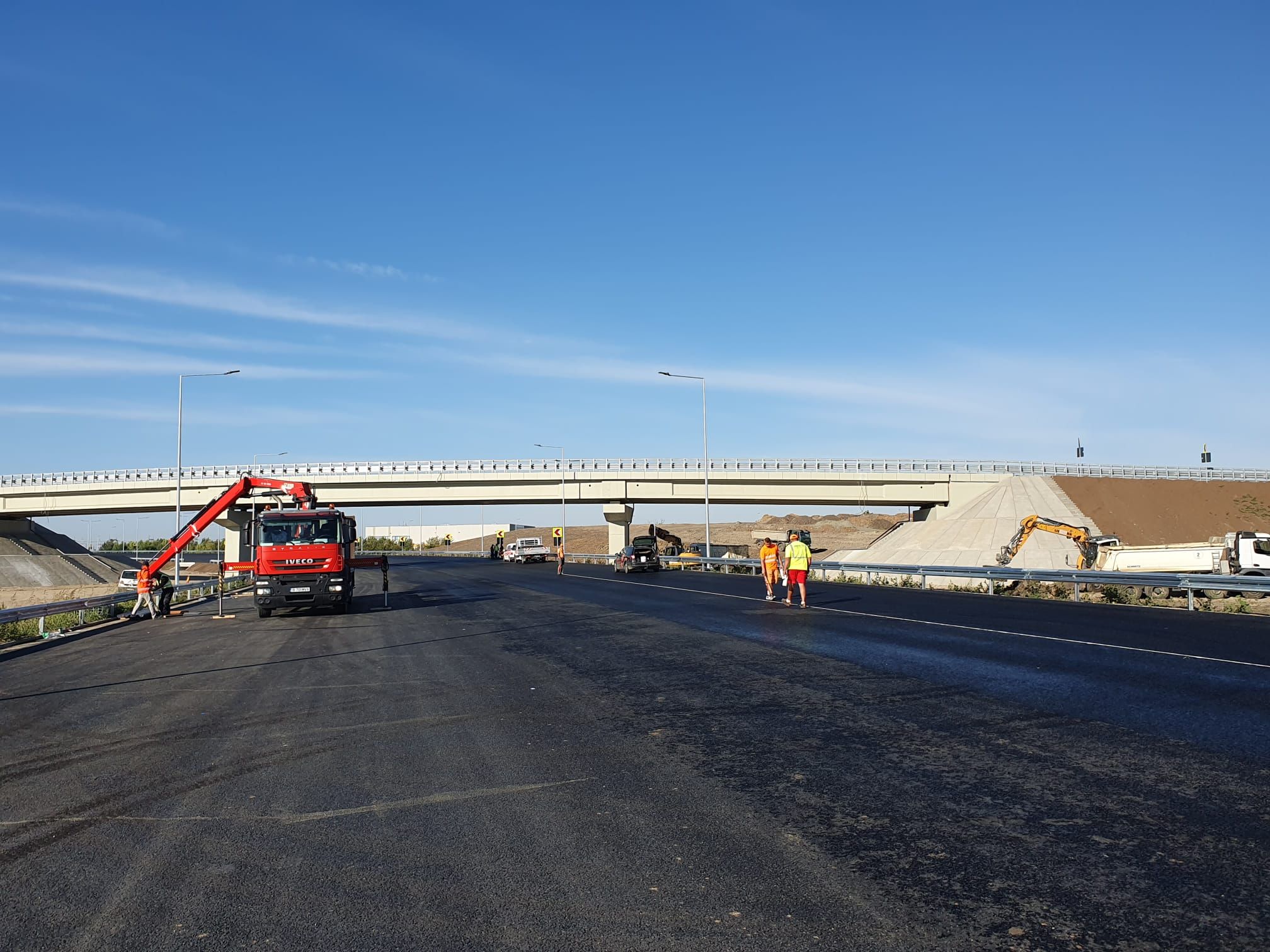 descărcare sânandrei (12)