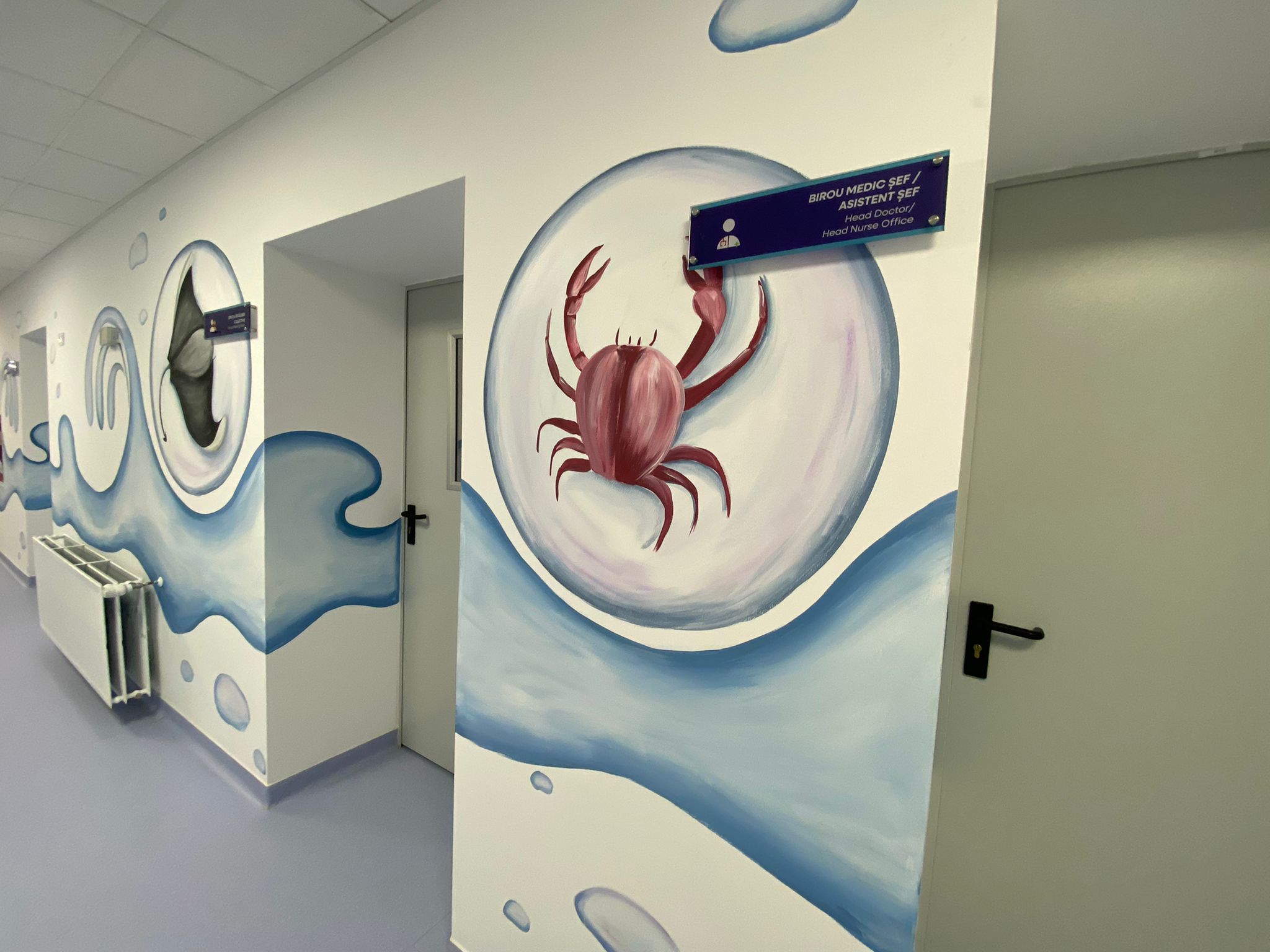 WhatsApp Image 2025-09-29 at 15.01.00