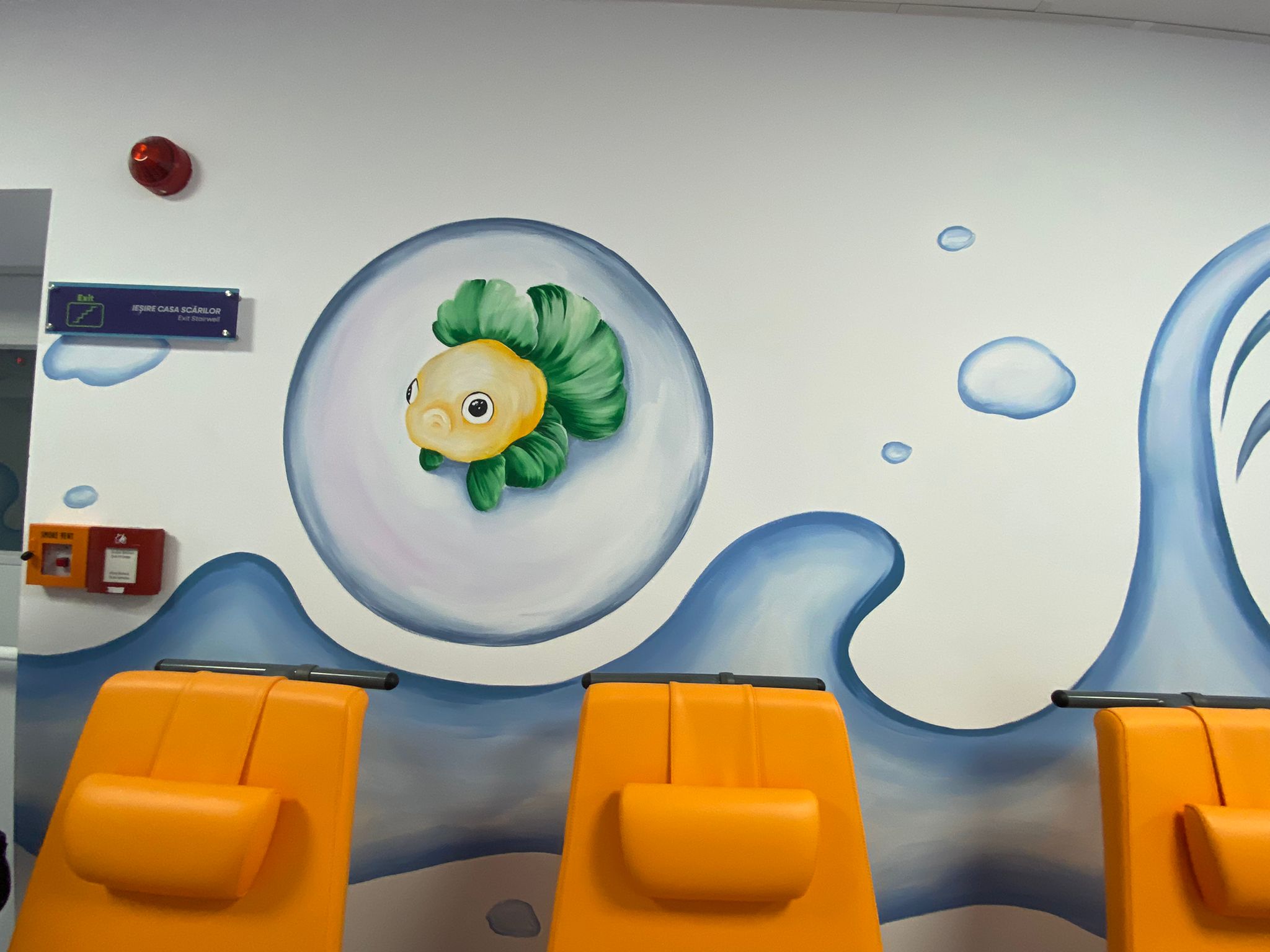 WhatsApp Image 2025-09-29 at 15.00.58 (2)