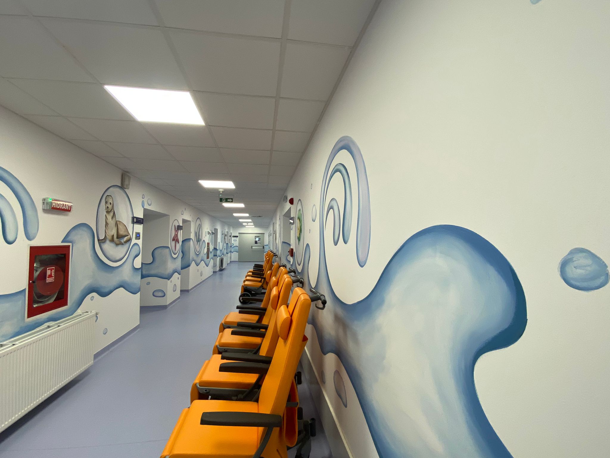 WhatsApp Image 2025-09-29 at 15.00.58 (1)