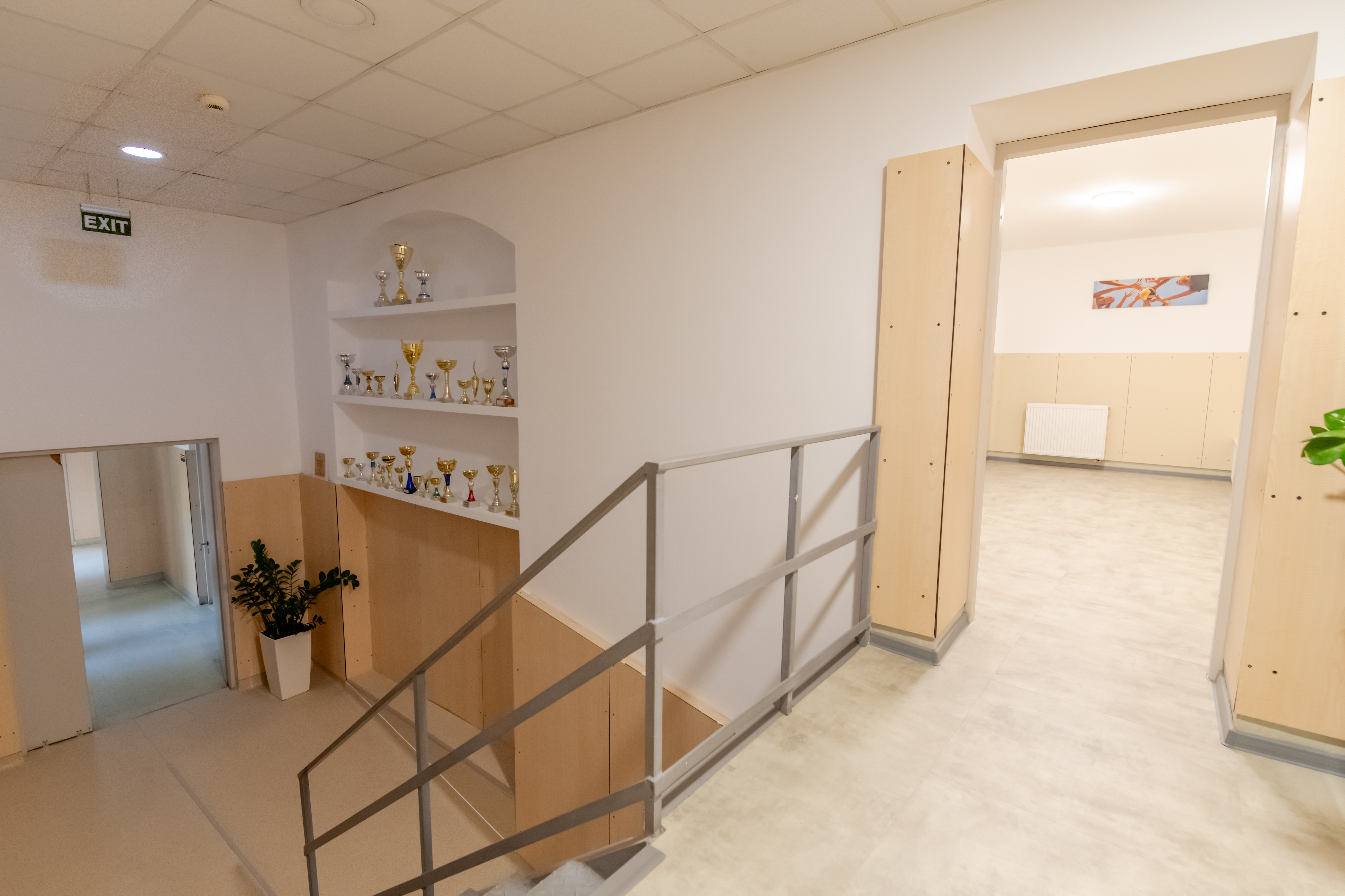 dm drogerie x Miltonia - transformare Liceu Lenau (1)