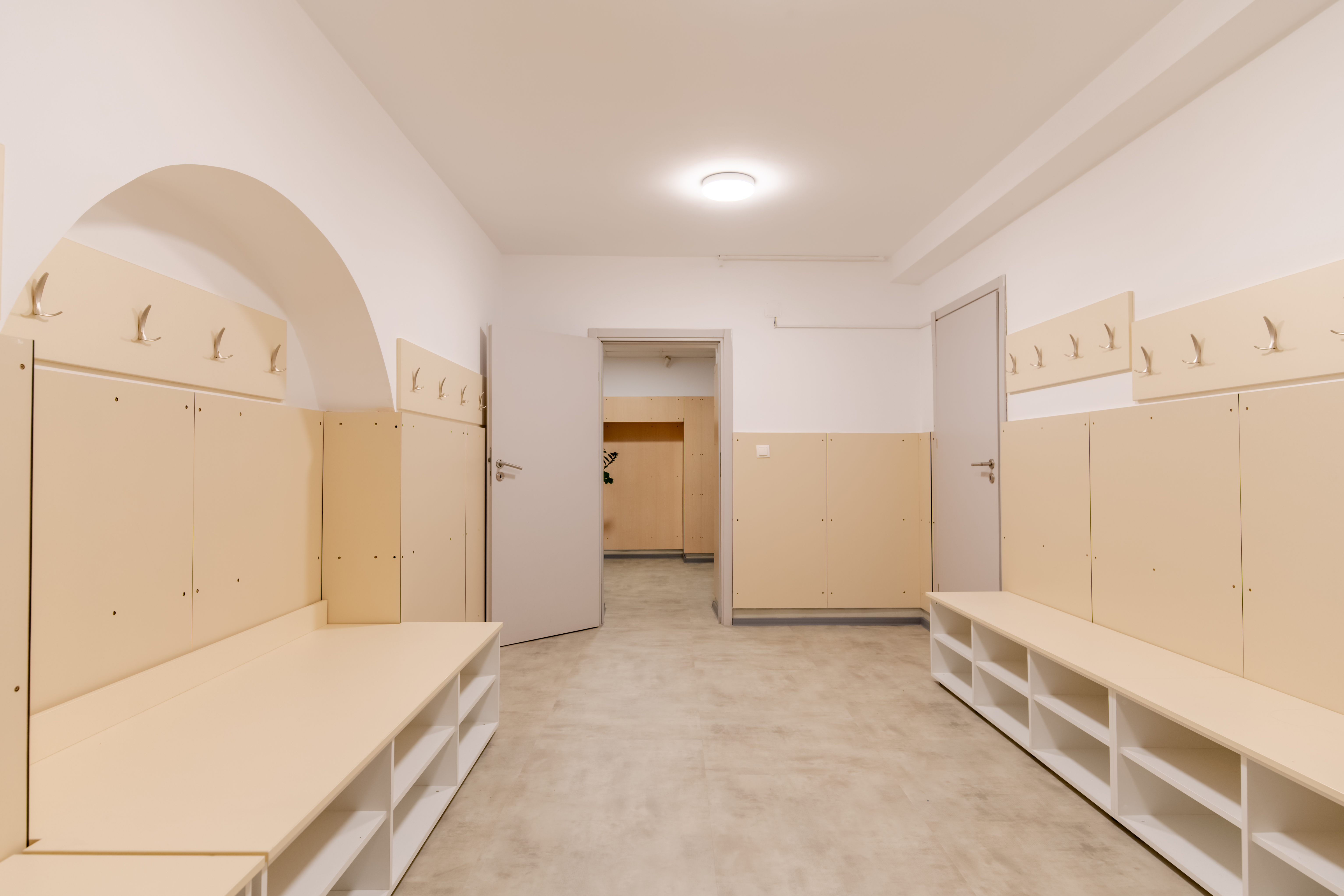 dm drogerie x Miltonia - transformare Liceu Lenau (2)