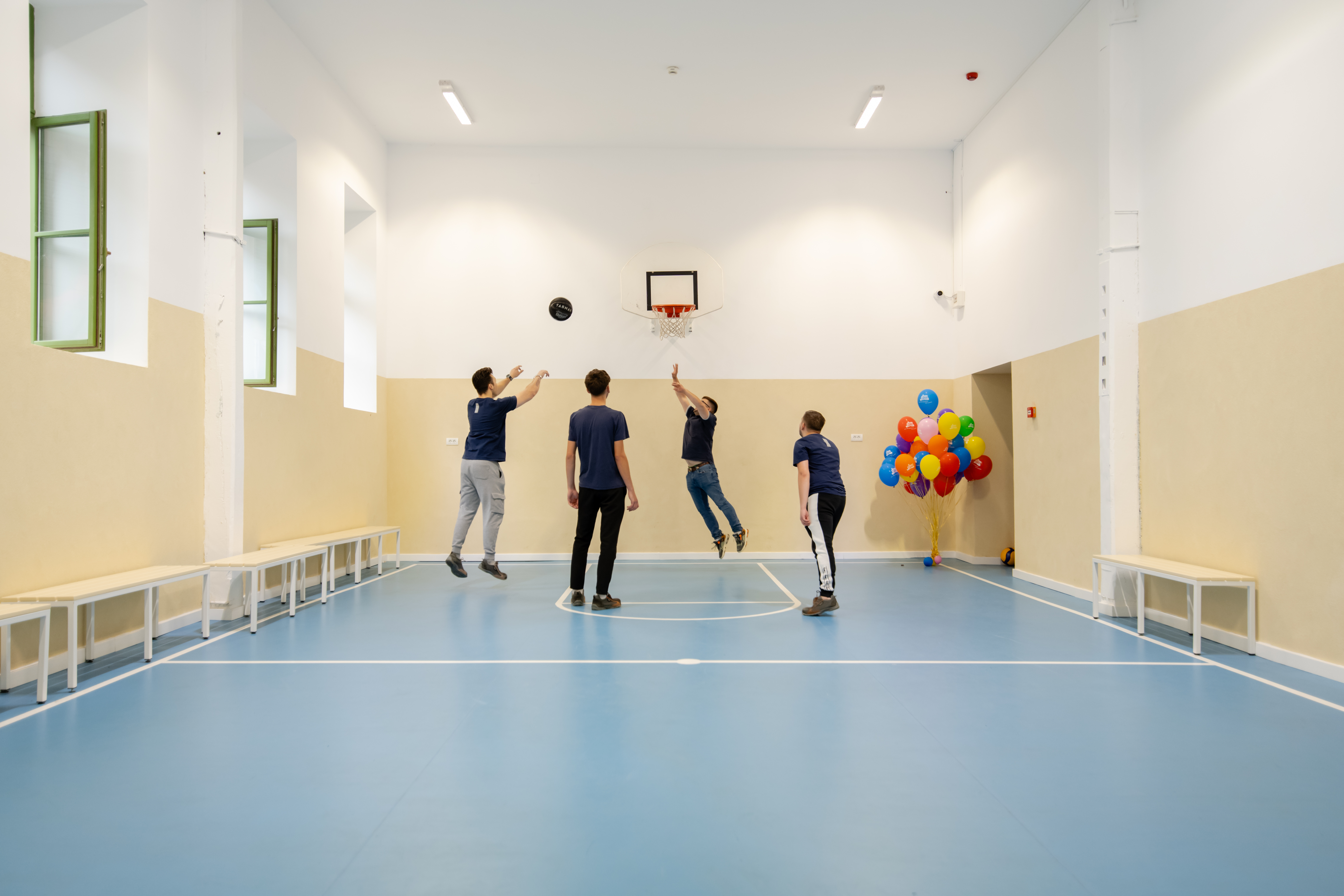 dm drogerie x Miltonia - transformare Liceu Lenau (3)