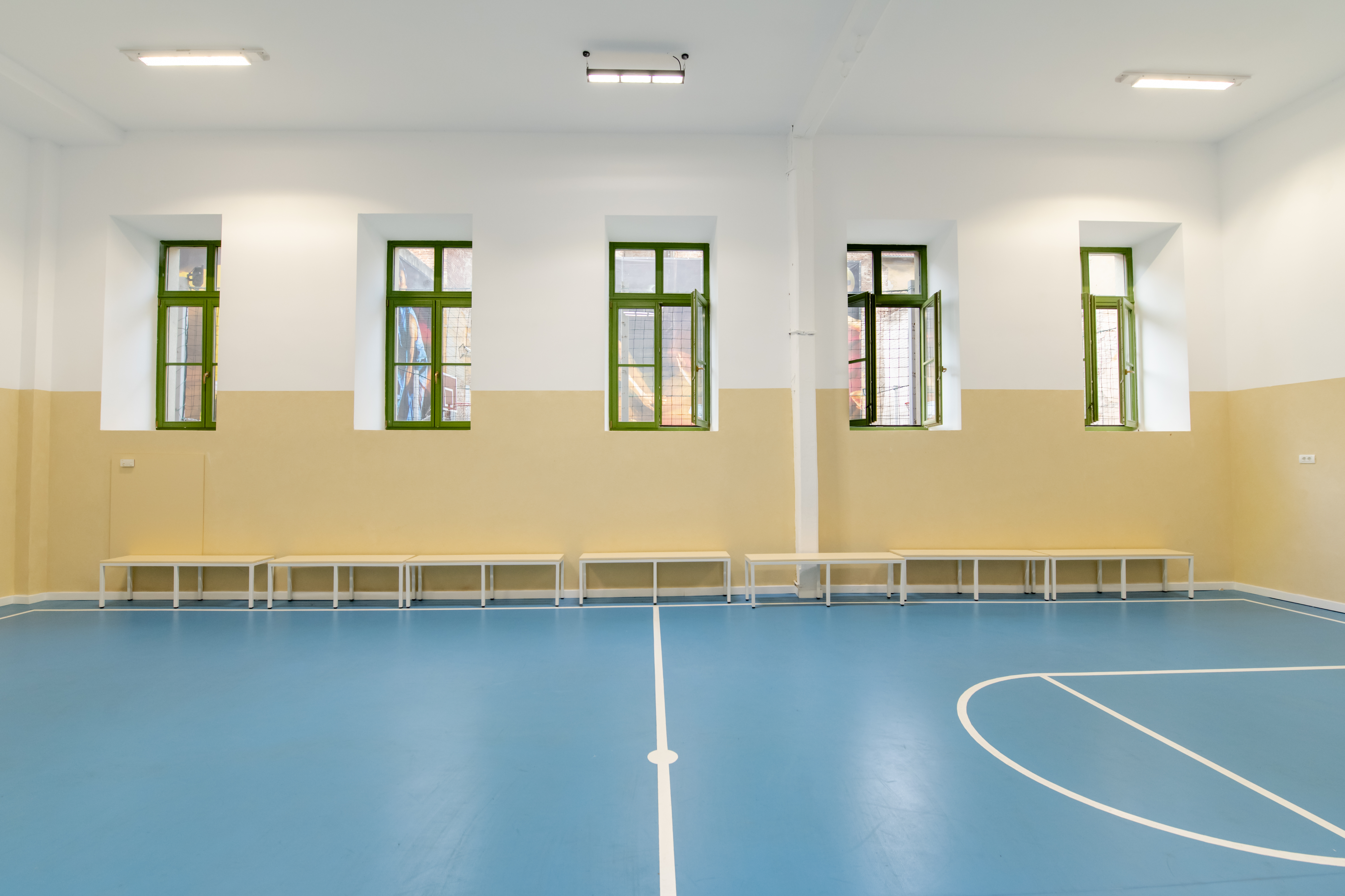 dm drogerie x Miltonia - transformare Liceu Lenau (4)