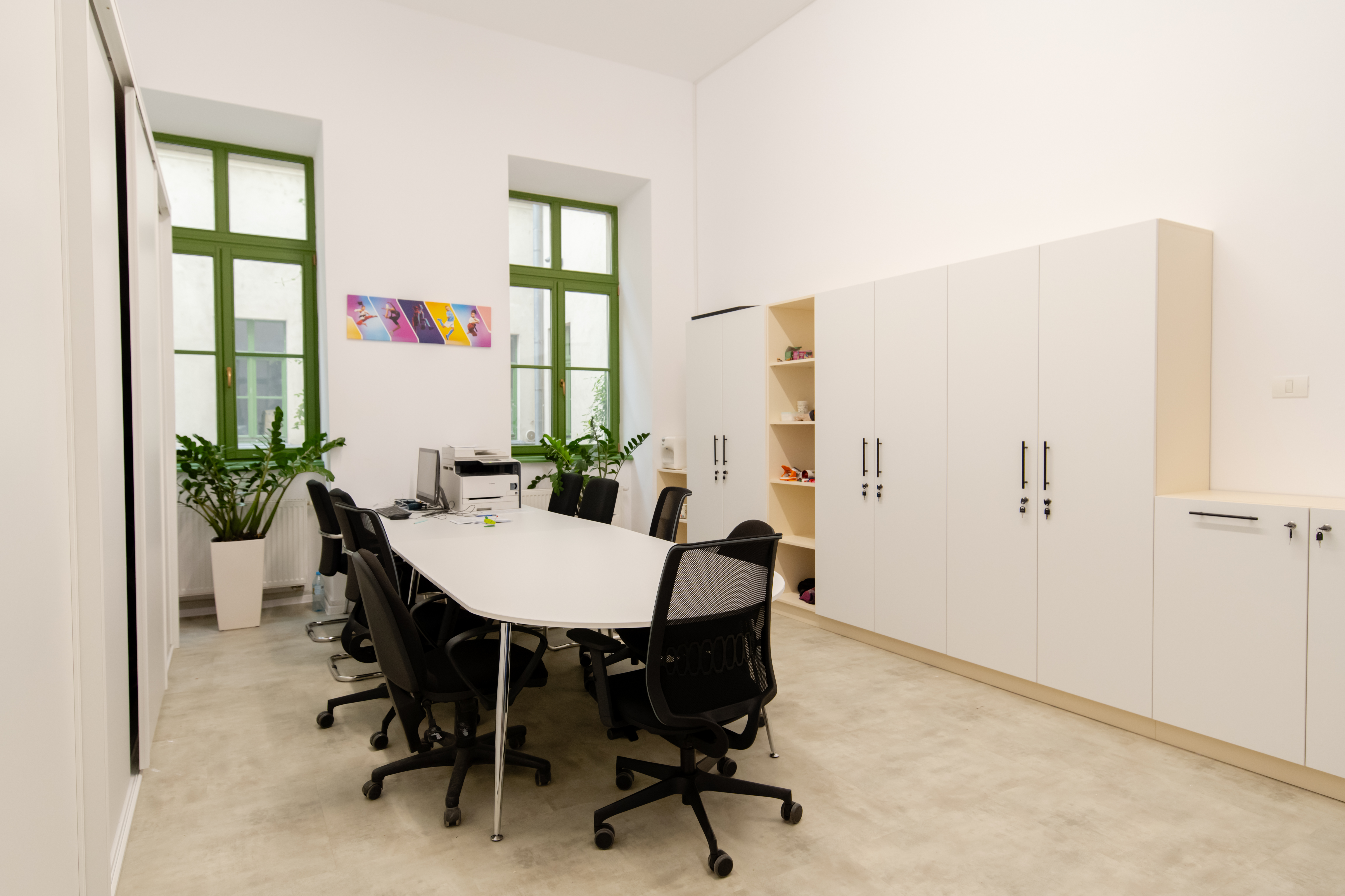 dm drogerie x Miltonia - transformare Liceu Lenau (6)