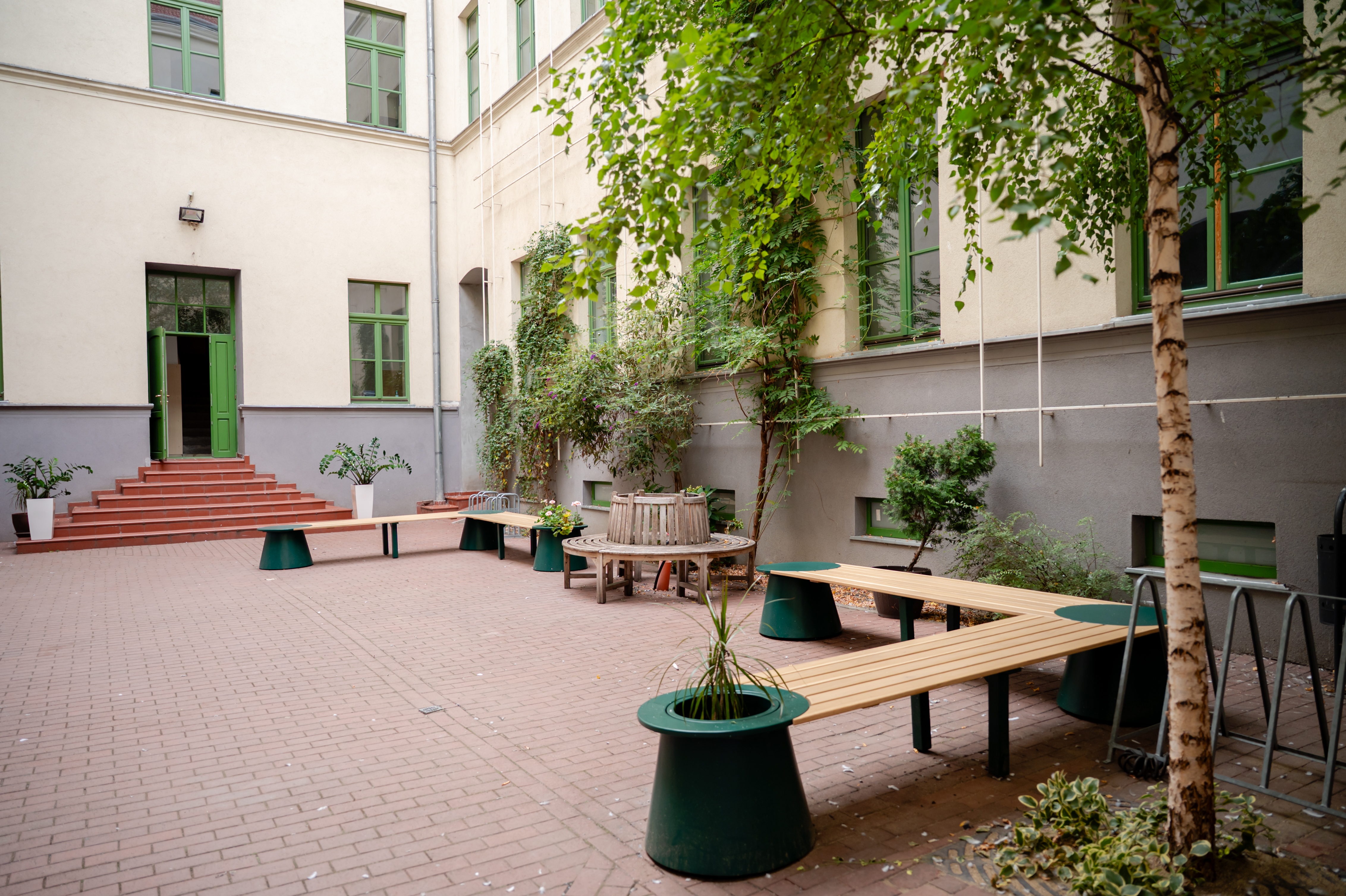 dm drogerie x Miltonia - transformare Liceu Lenau (7)