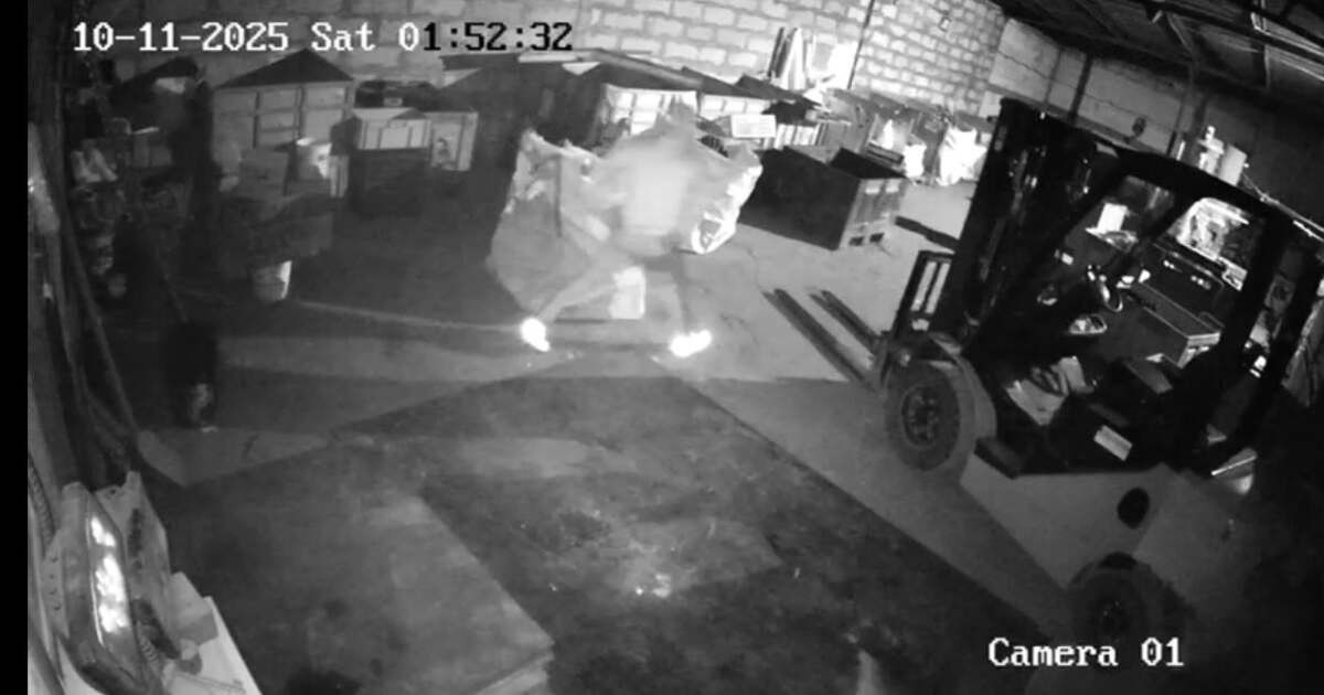 VIDEO: Hoți surprinși la fața locului de alarma unei hale din Timișoara VIDEO: Hoți surprinși la fața locului de alarma unei hale din Timișoara