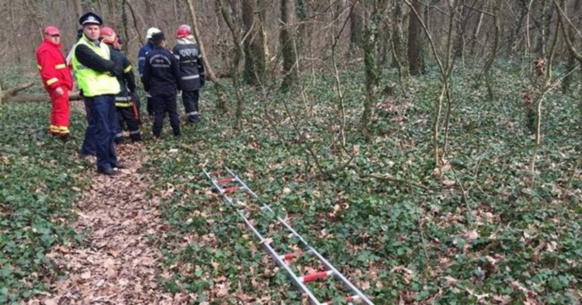 Bărbat dispărut în pădurea din Hisiaș, găsit fără viață după ce era căutat. Bărbat dispărut în pădurea din Hisiaș, găsit fără viață după ce era căutat.