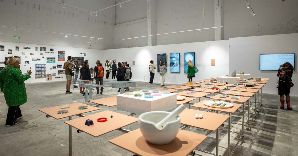 Ce evenimente interesante ne așteaptă astăzi, 28 octombrie 2025, în Timișoara?